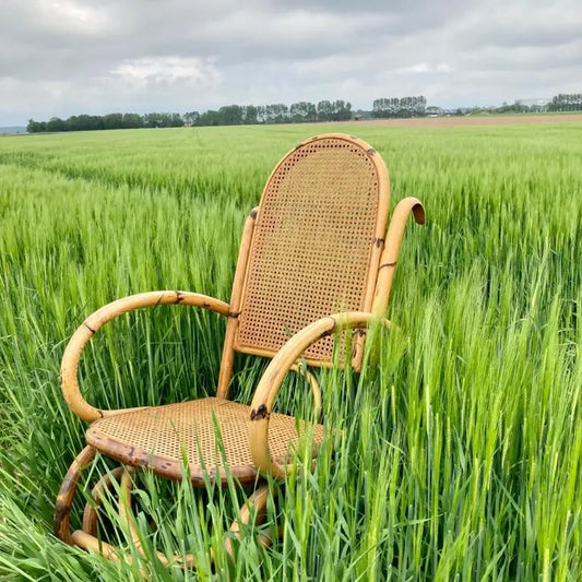Vannerie : paniers en osier et meubles en rotin