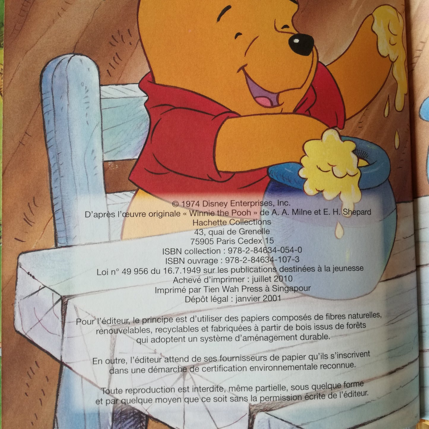 Livre jeunesse Disney Club du Livre Hachette
