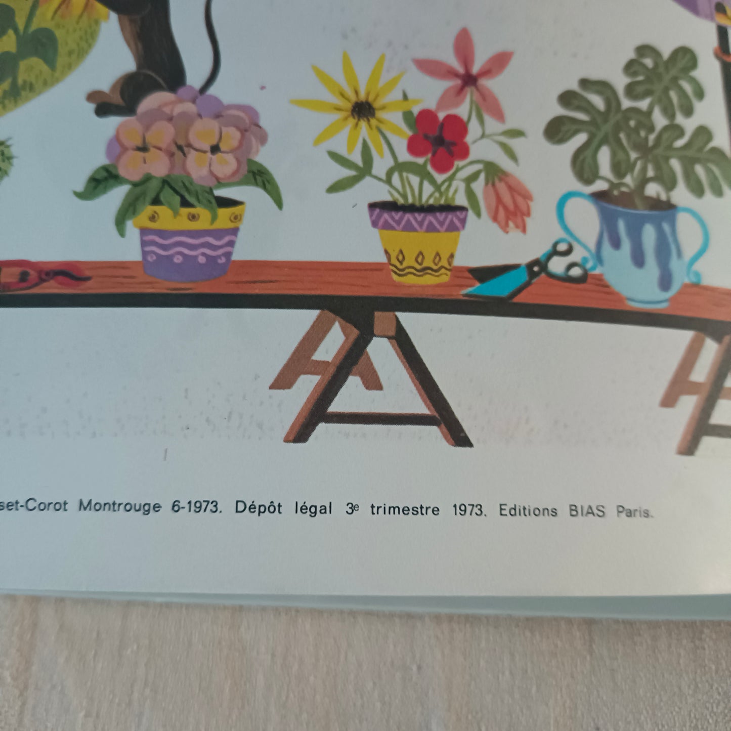 Livre jeunesse Papillons Bias