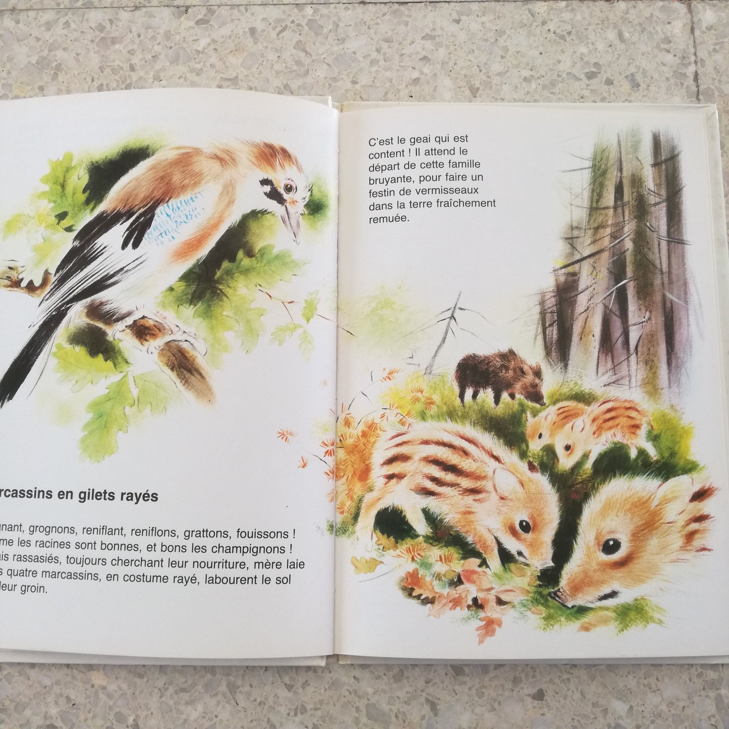 Livre jeunesse Jeunes années Bias