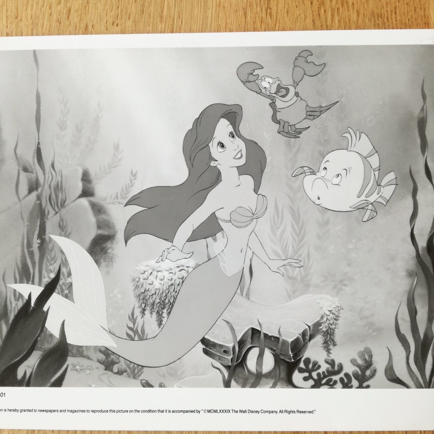 Photographie Walt Disney