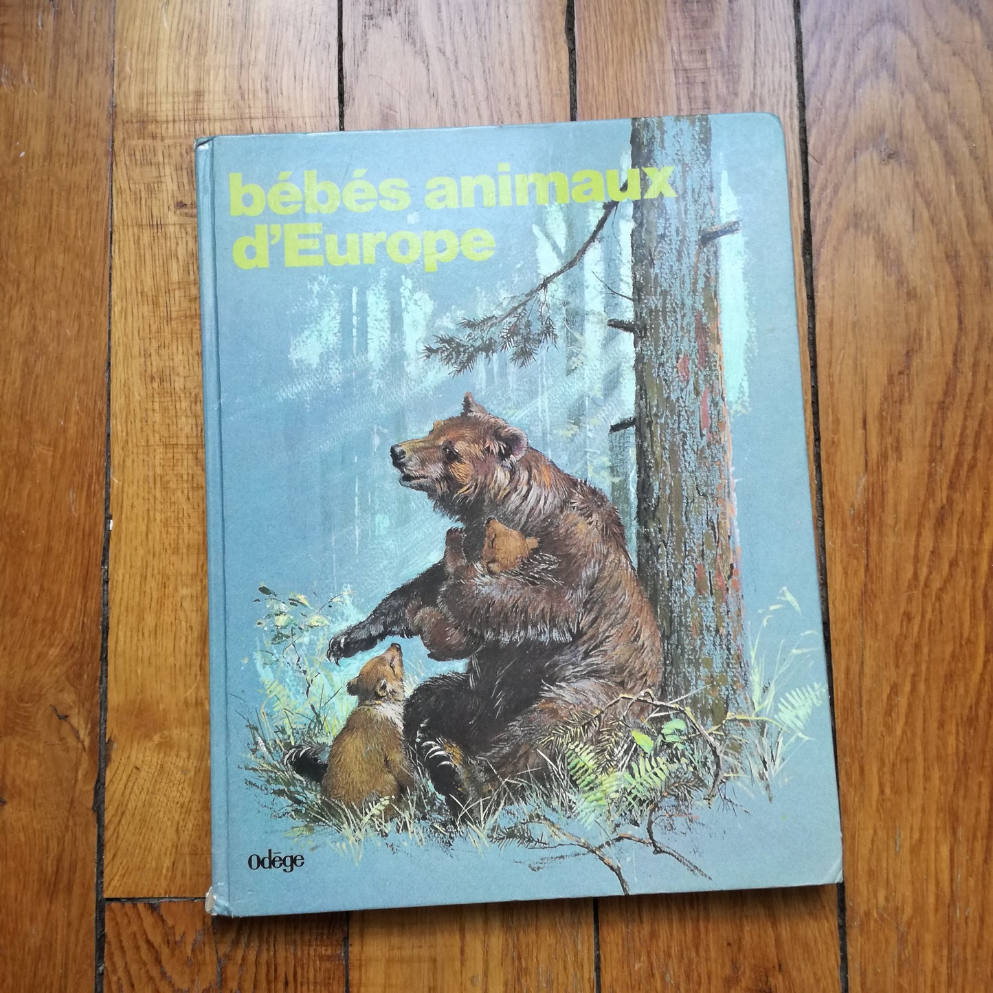 Livre jeunesse Bébés animaux des 5 continents Odège