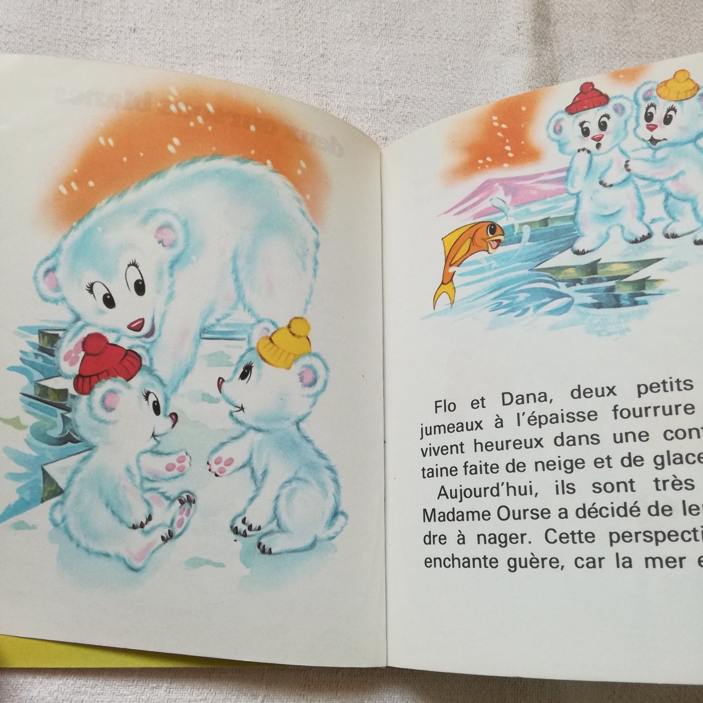 Livre jeunesse La ronde des animaux Lito