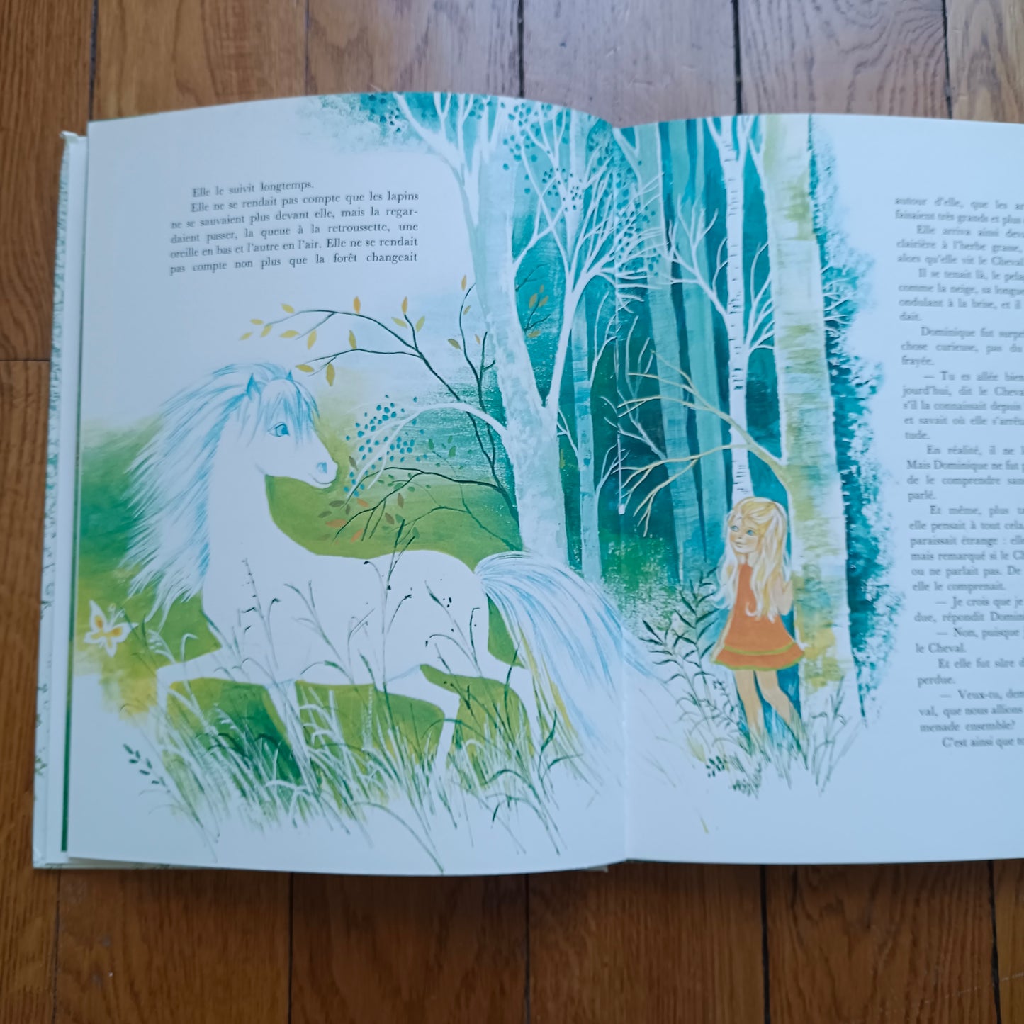 Livre jeunesse Odège