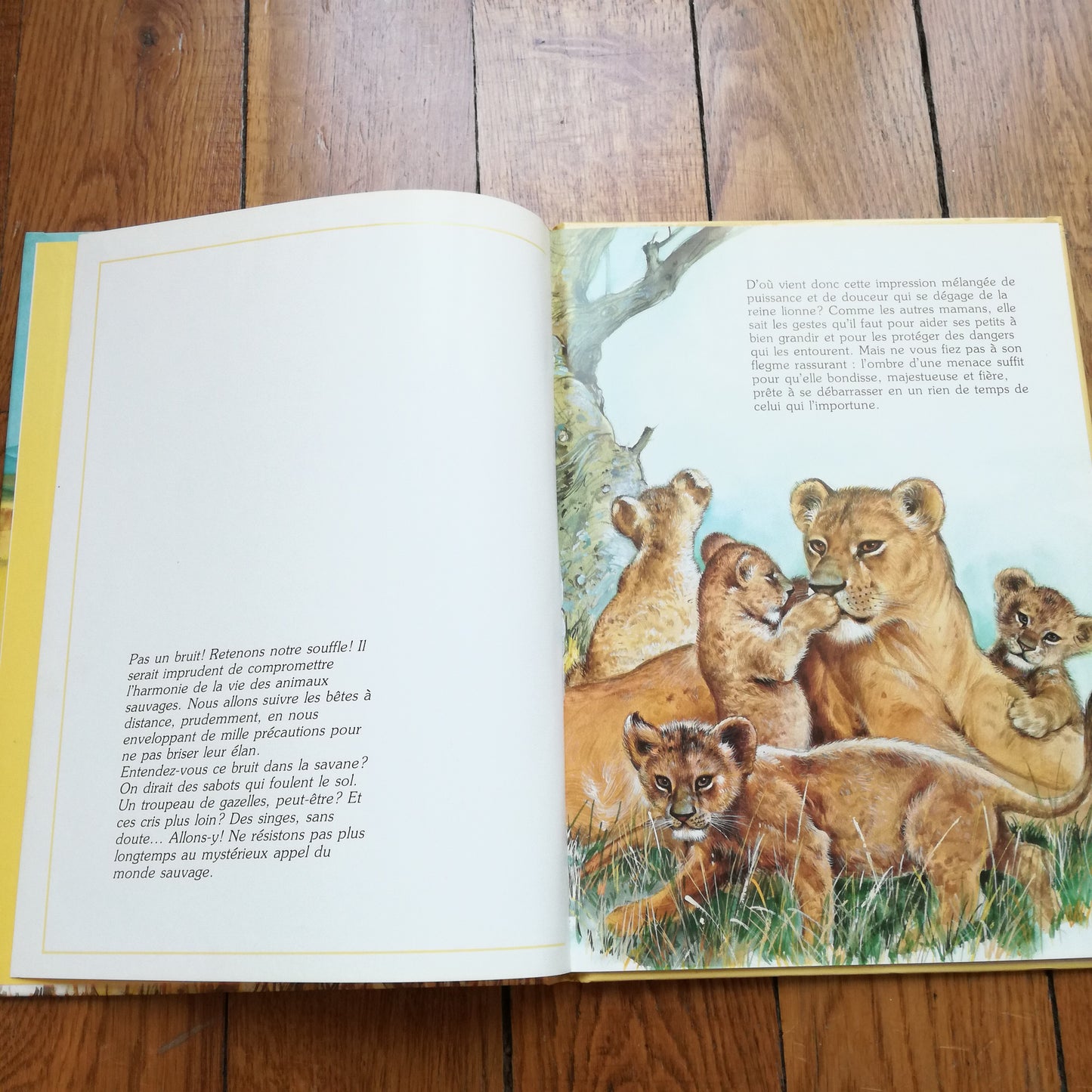 Livre jeunesse La ronde des animaux Hemma