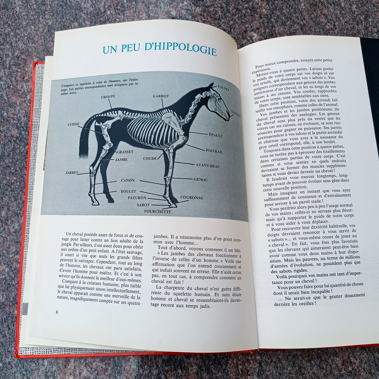 Livre jeunesse Hachette