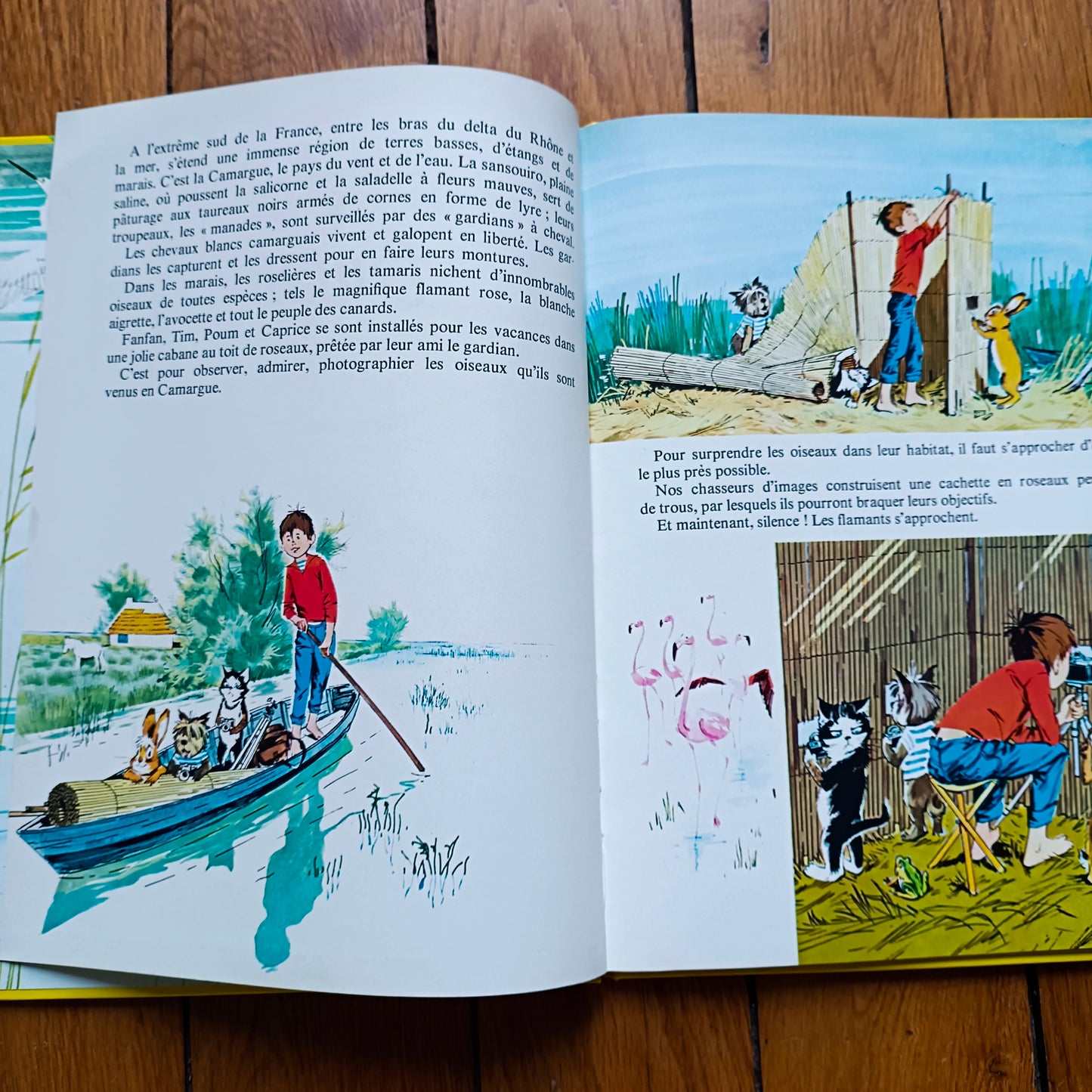 Livre jeunesse Le Jardin des Rêves Hachette