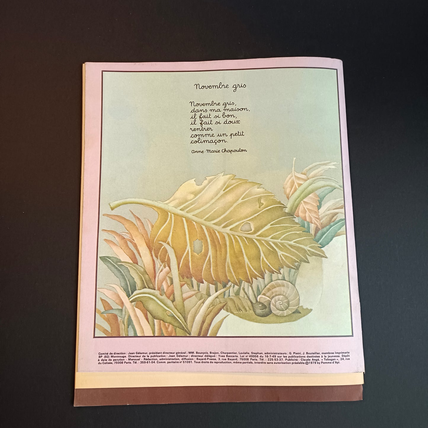 Revue / Magazine Pomme d'Api