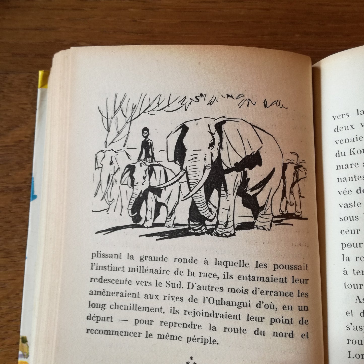 Livre jeunesse Bibliothèque Verte Hachette