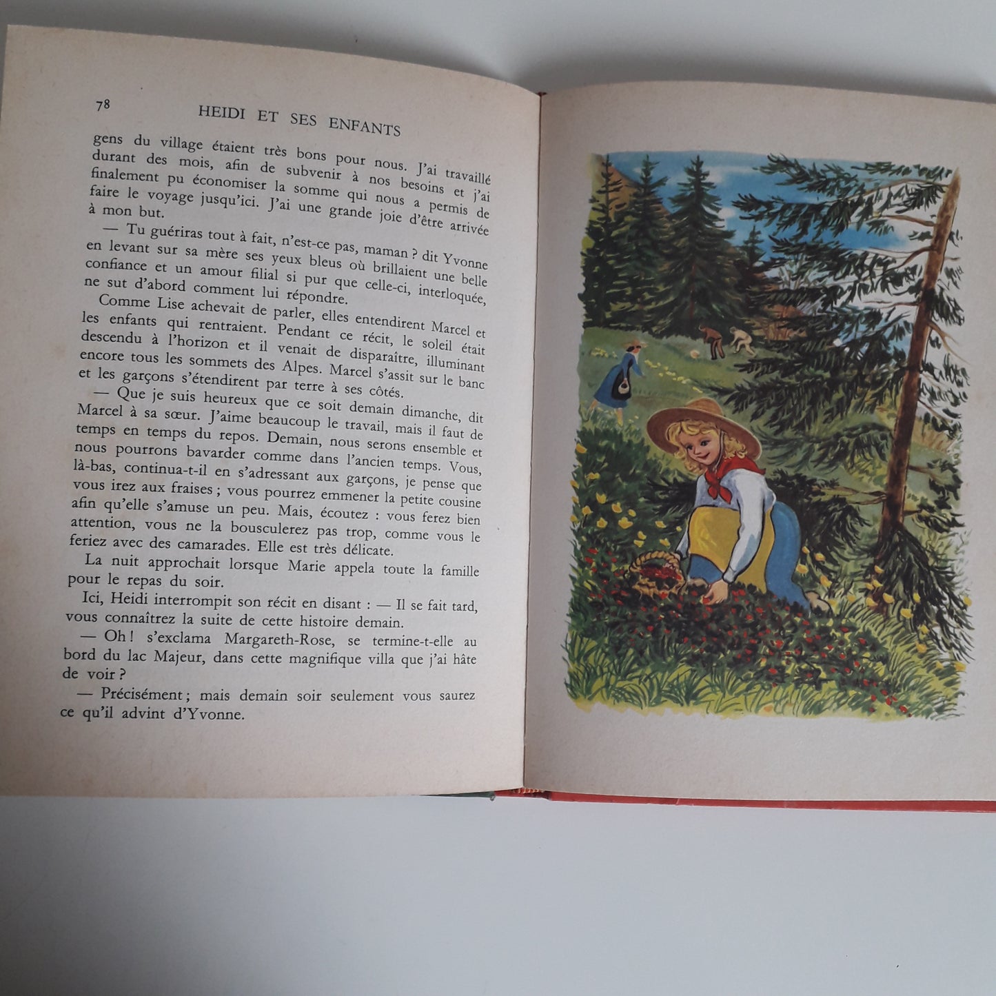 Livre de poche Flammarion
