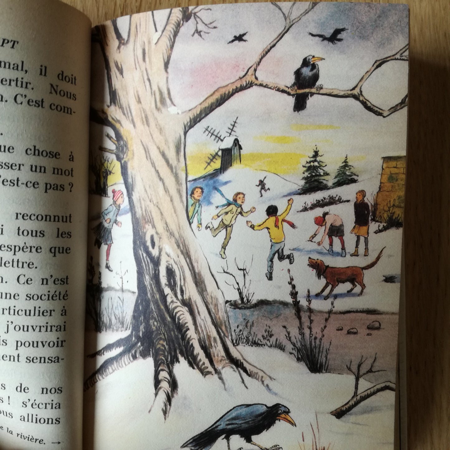 Livre jeunesse Le Clan des Sept