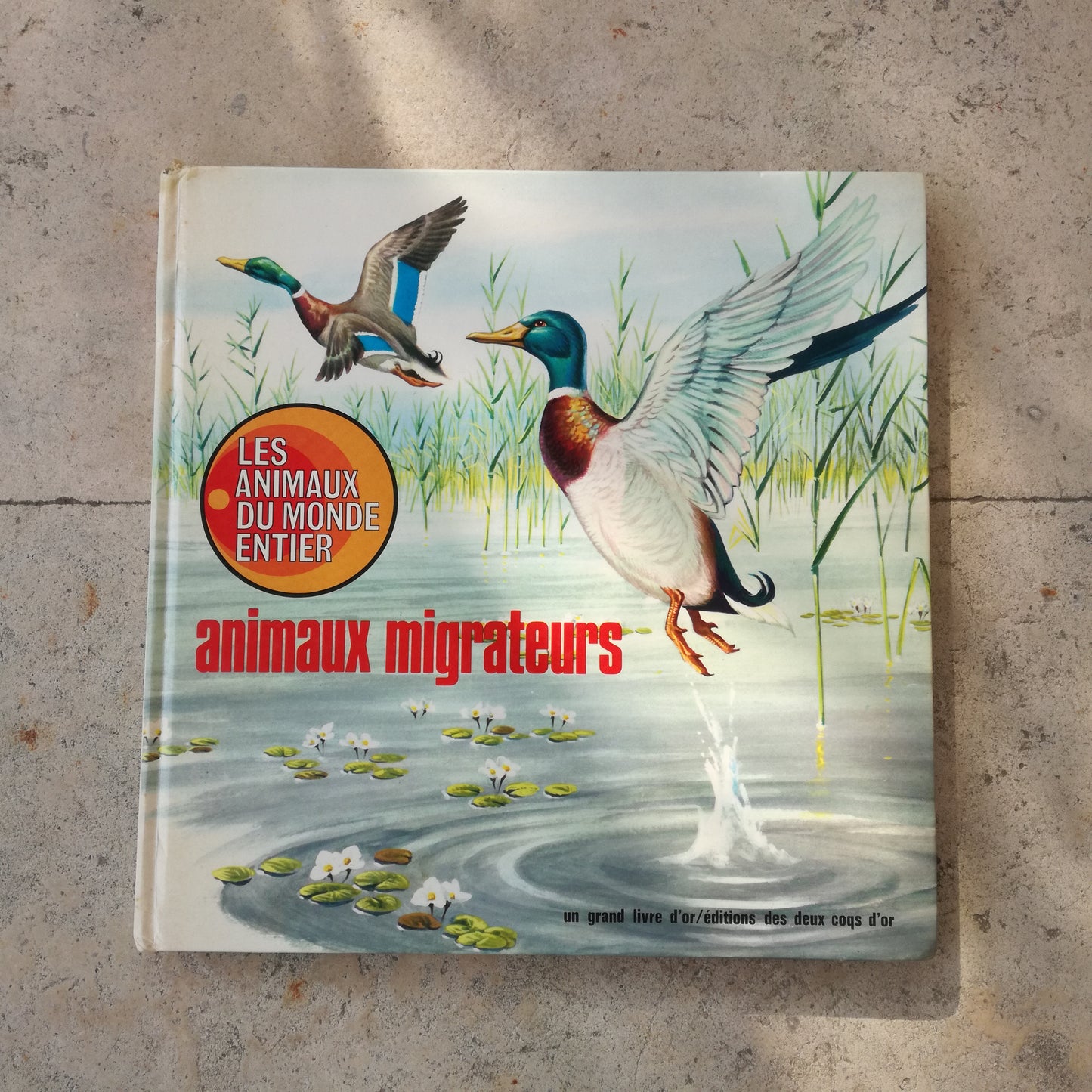 Livre jeunesse Les animaux du monde entier Deux Coqs d'Or