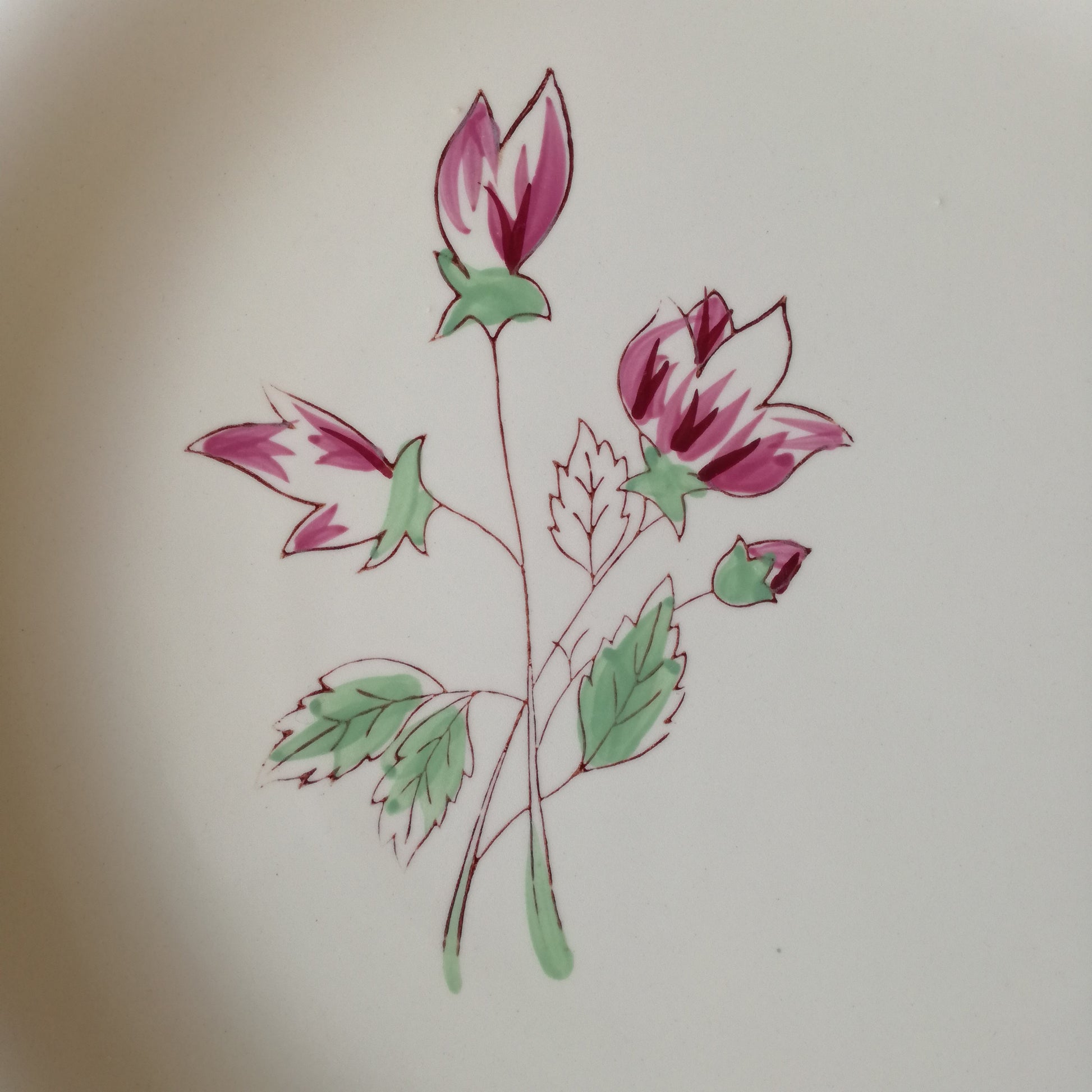 Plat Rose Éric Salins