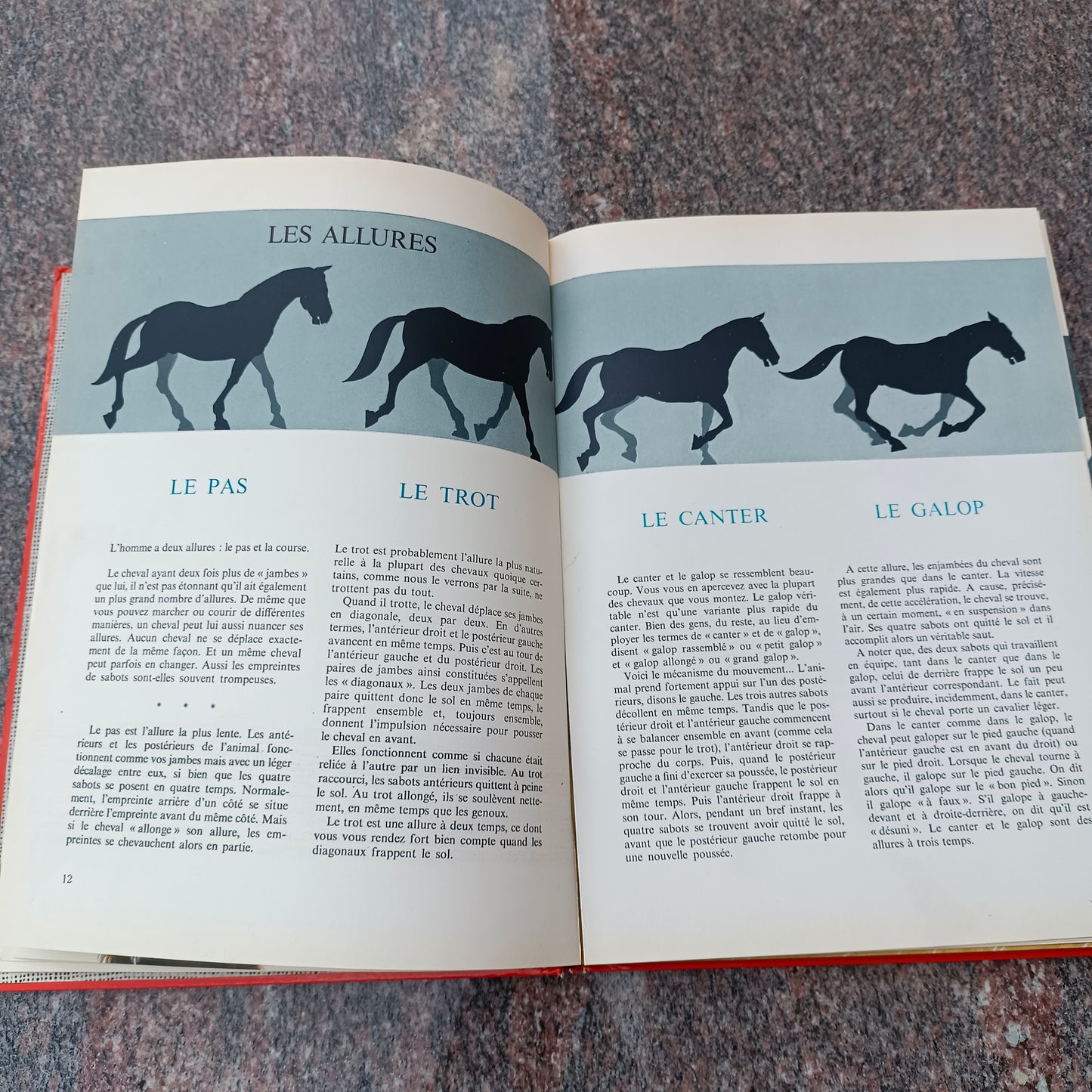 Livre jeunesse Hachette