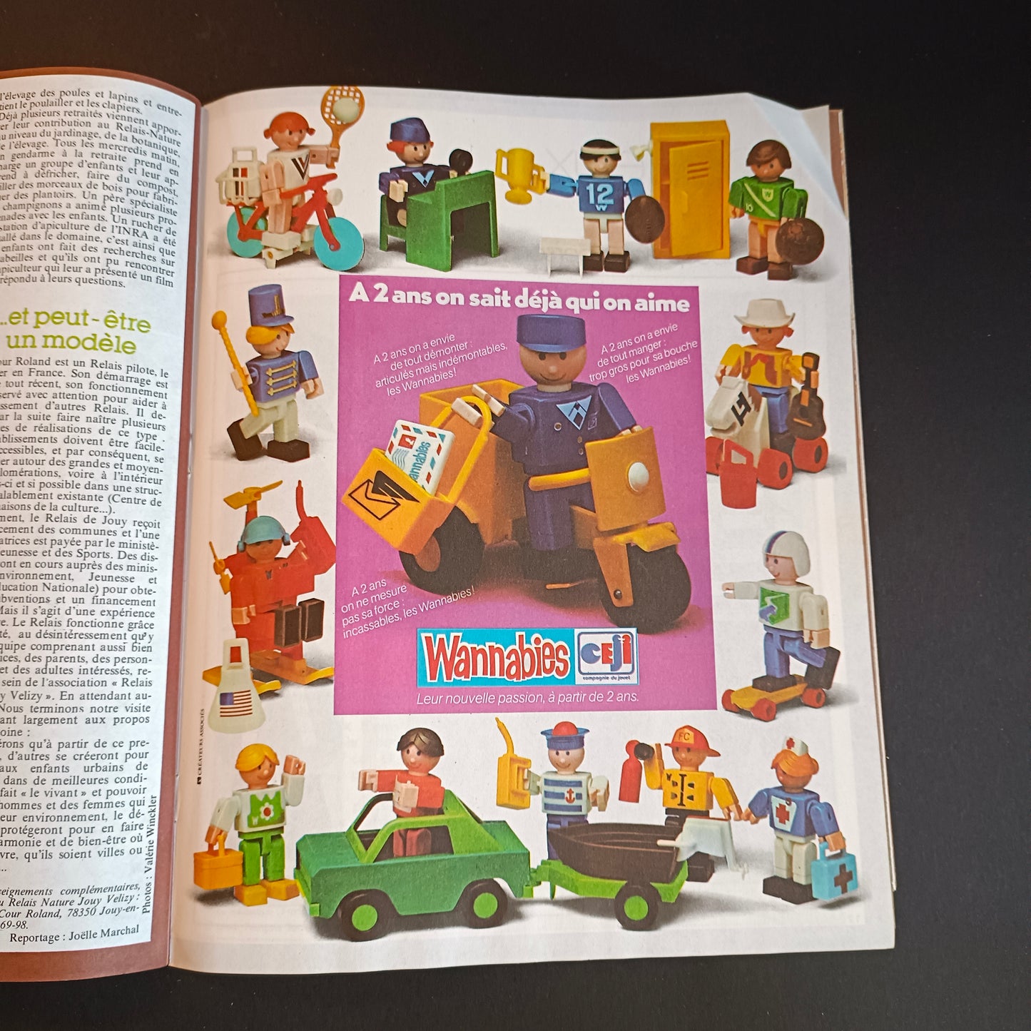 Revue / Magazine Pomme d'Api