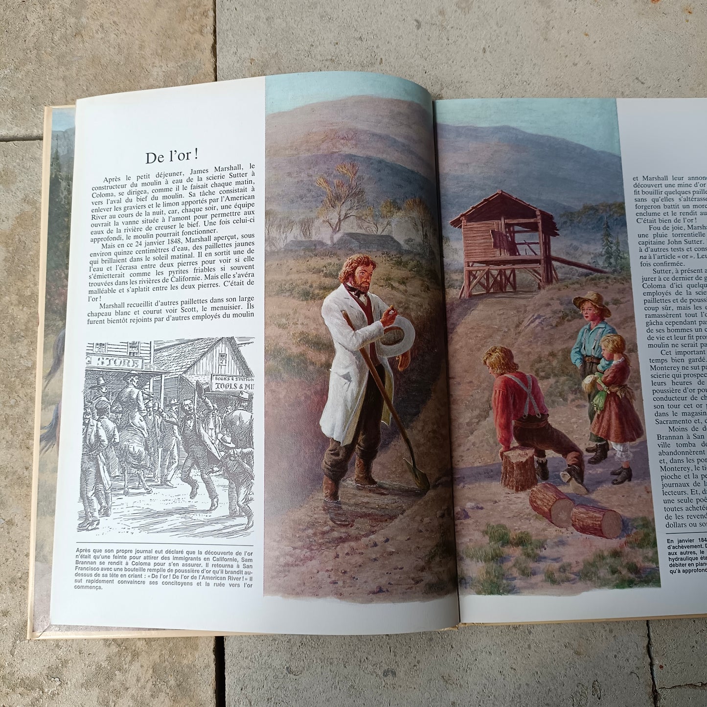 Livre Histoire & Géographie L'Histoire vécue Éditions du chat perché Flammarion