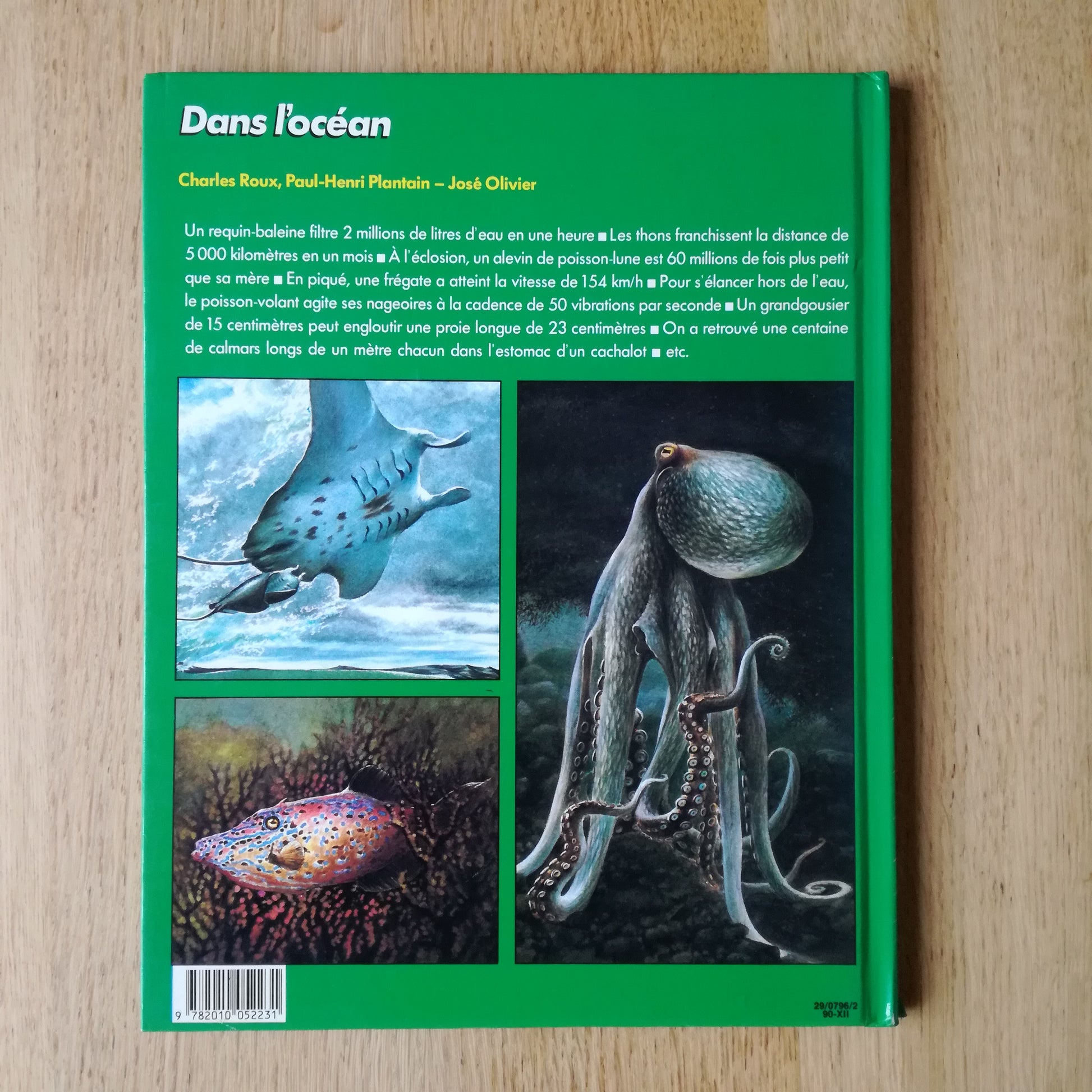 Livre jeunesse La vie secrète des bêtes Hachette