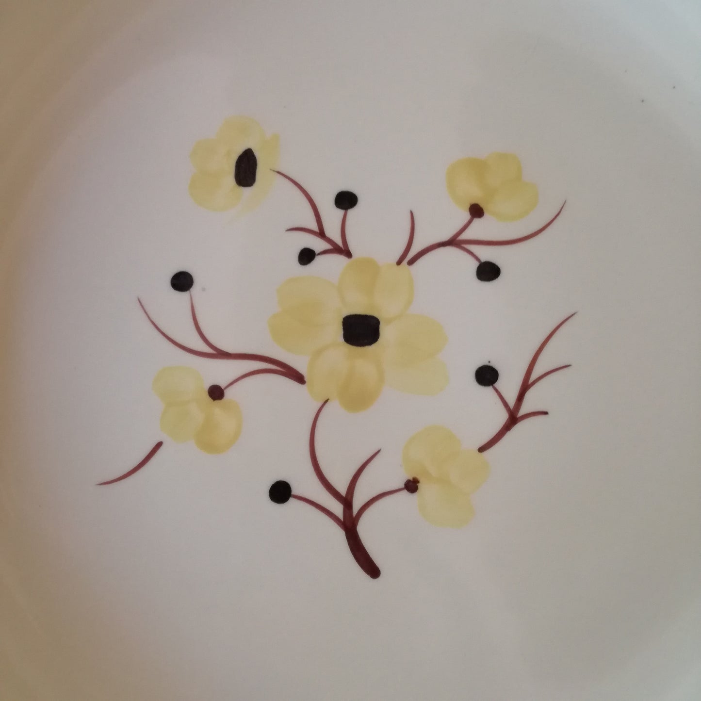 Plat Catherine Salins