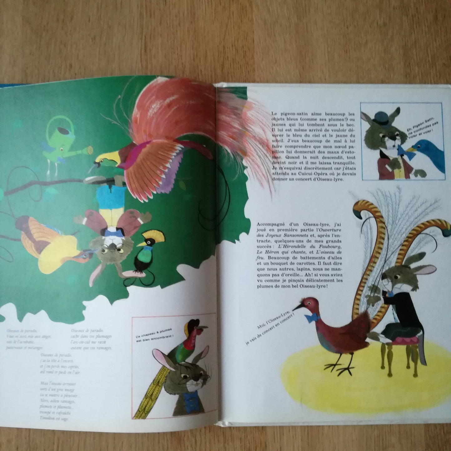 Livre jeunesse Timoléon Hachette