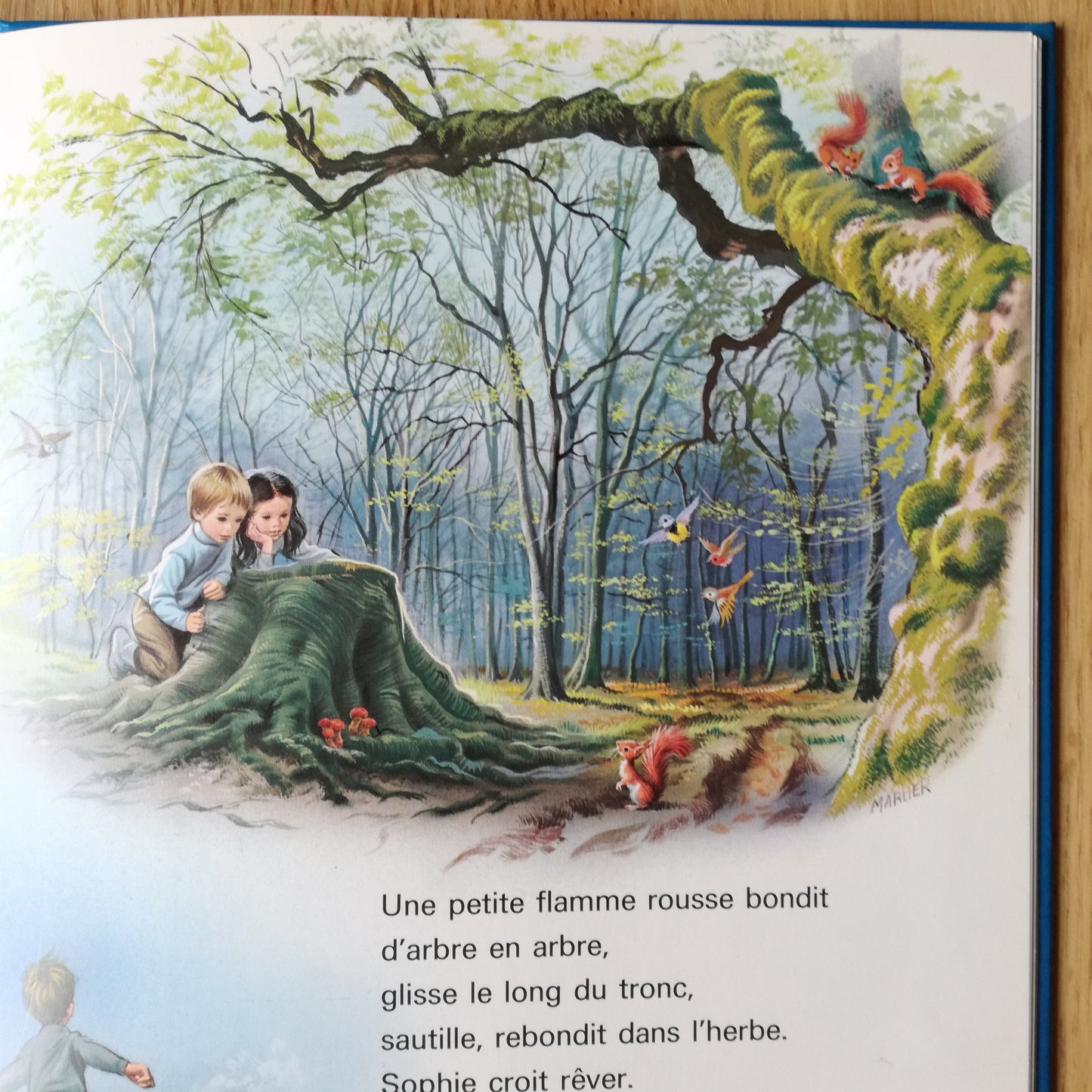 Livre jeunesse Farandole - Jean-Lou et Sophie Casterman