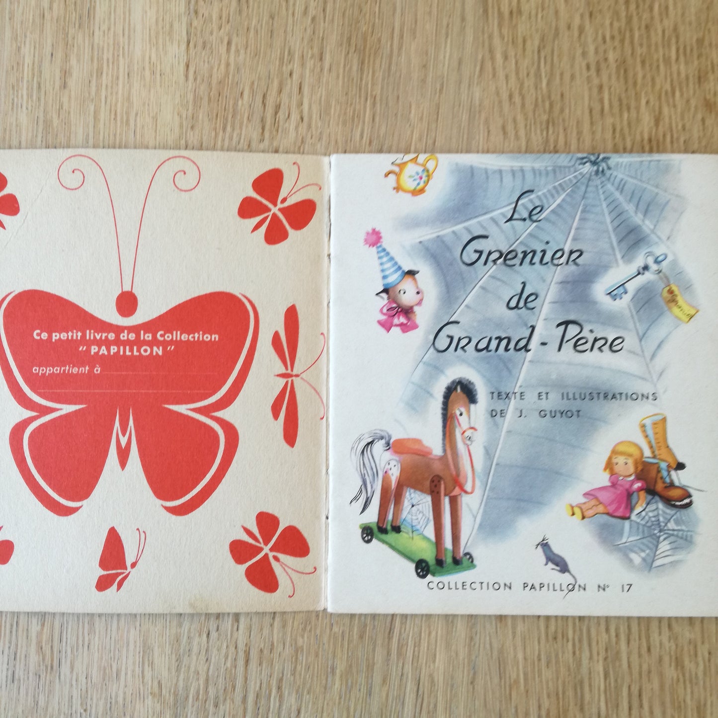 Livre jeunesse Papillon Beuchet et Vanden Brugge
