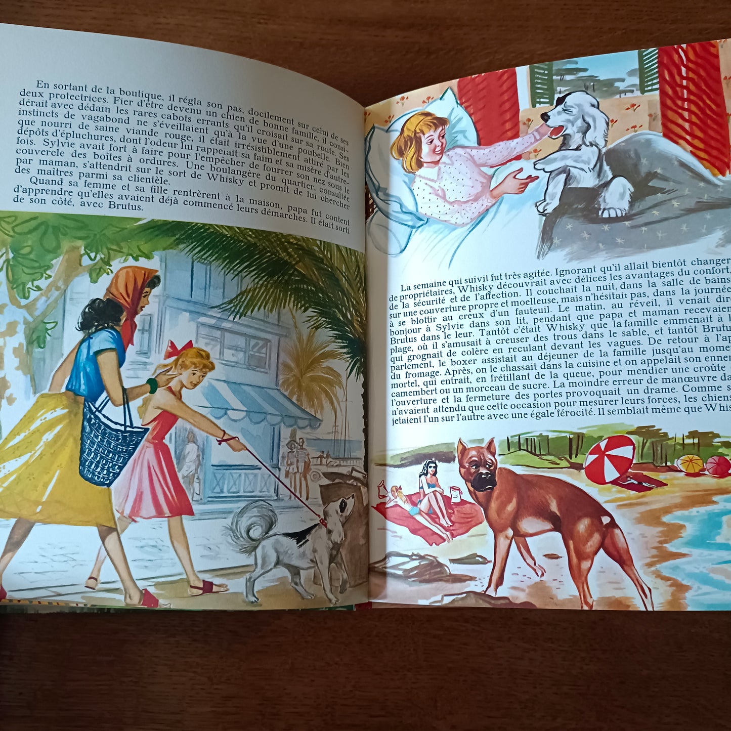 Livre jeunesse Jeunes années Bias