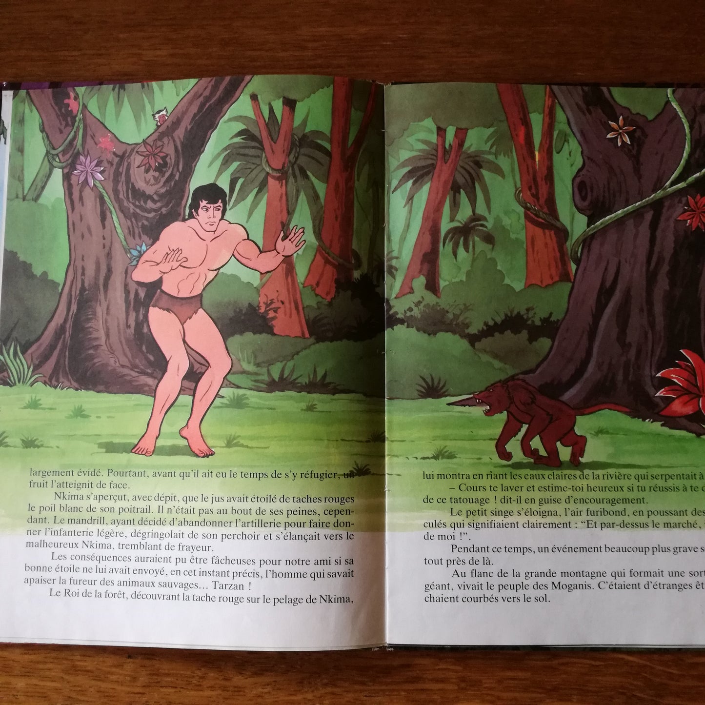 Livre jeunesse GP Rouge et Or