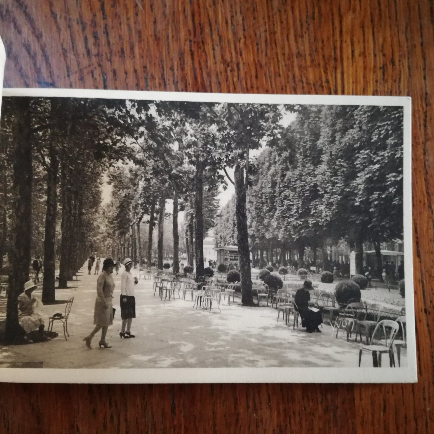 Carte postale / Vue Éditions d'Art Yvon