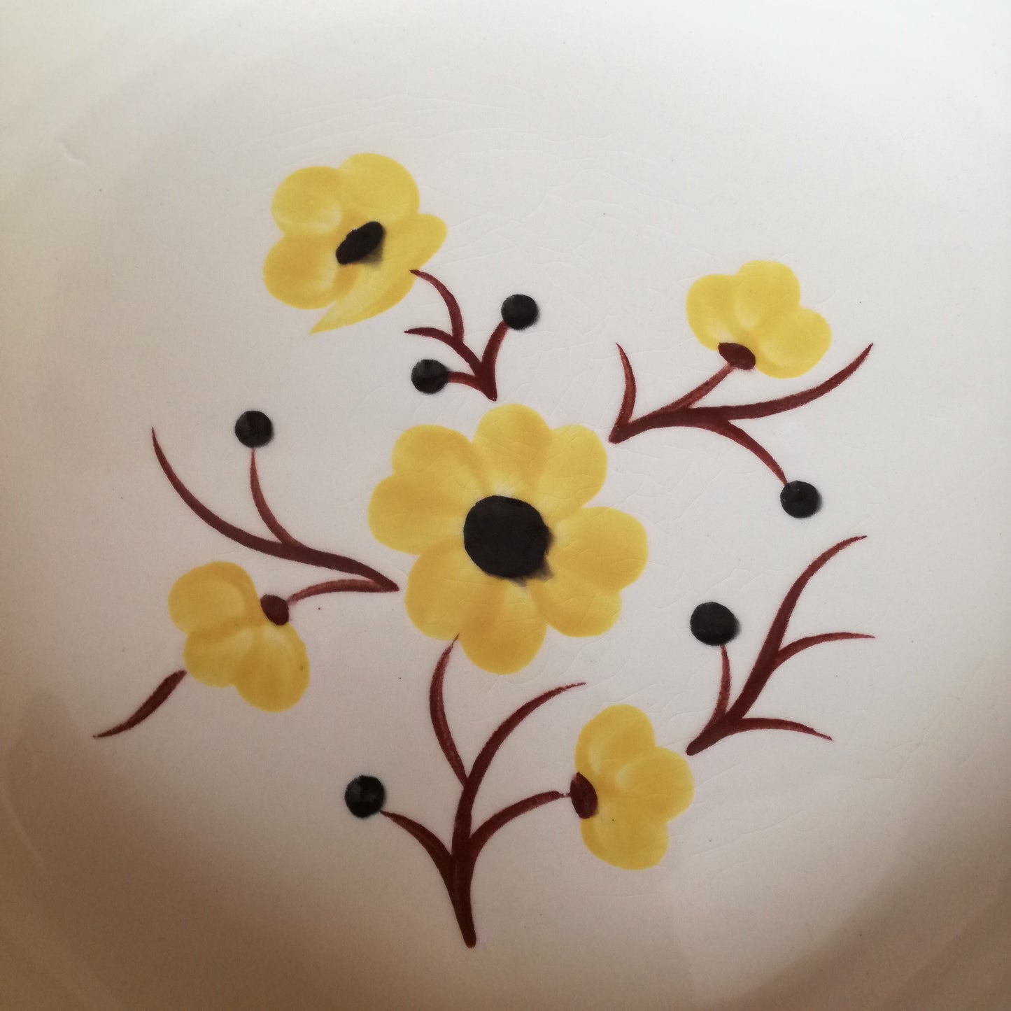 Plat Catherine Salins