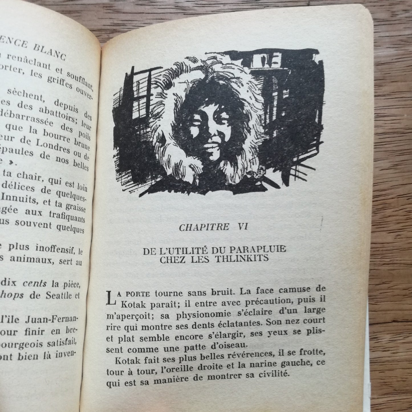 Livre jeunesse Bibliothèque Verte Hachette