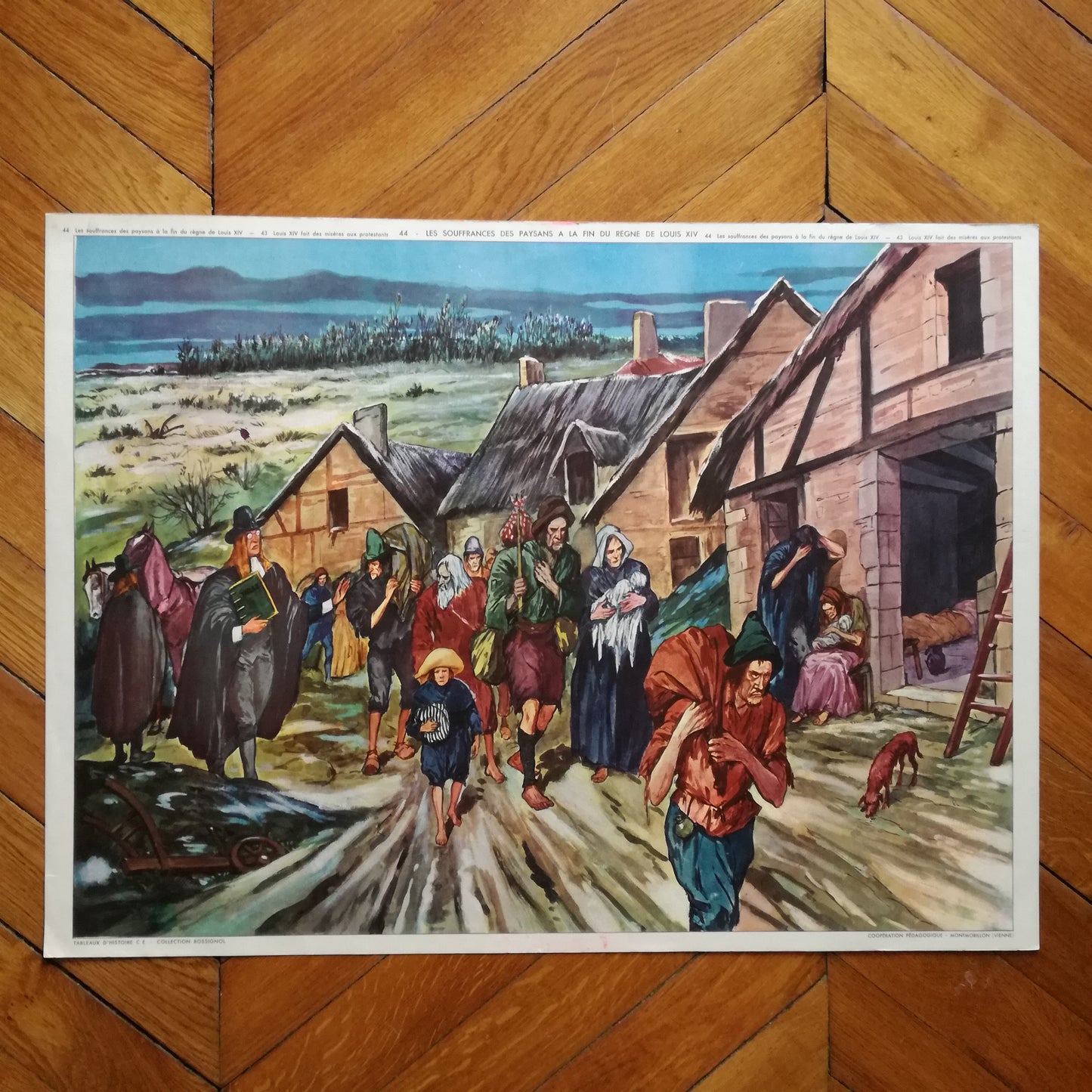 Affiche scolaire Rossignol