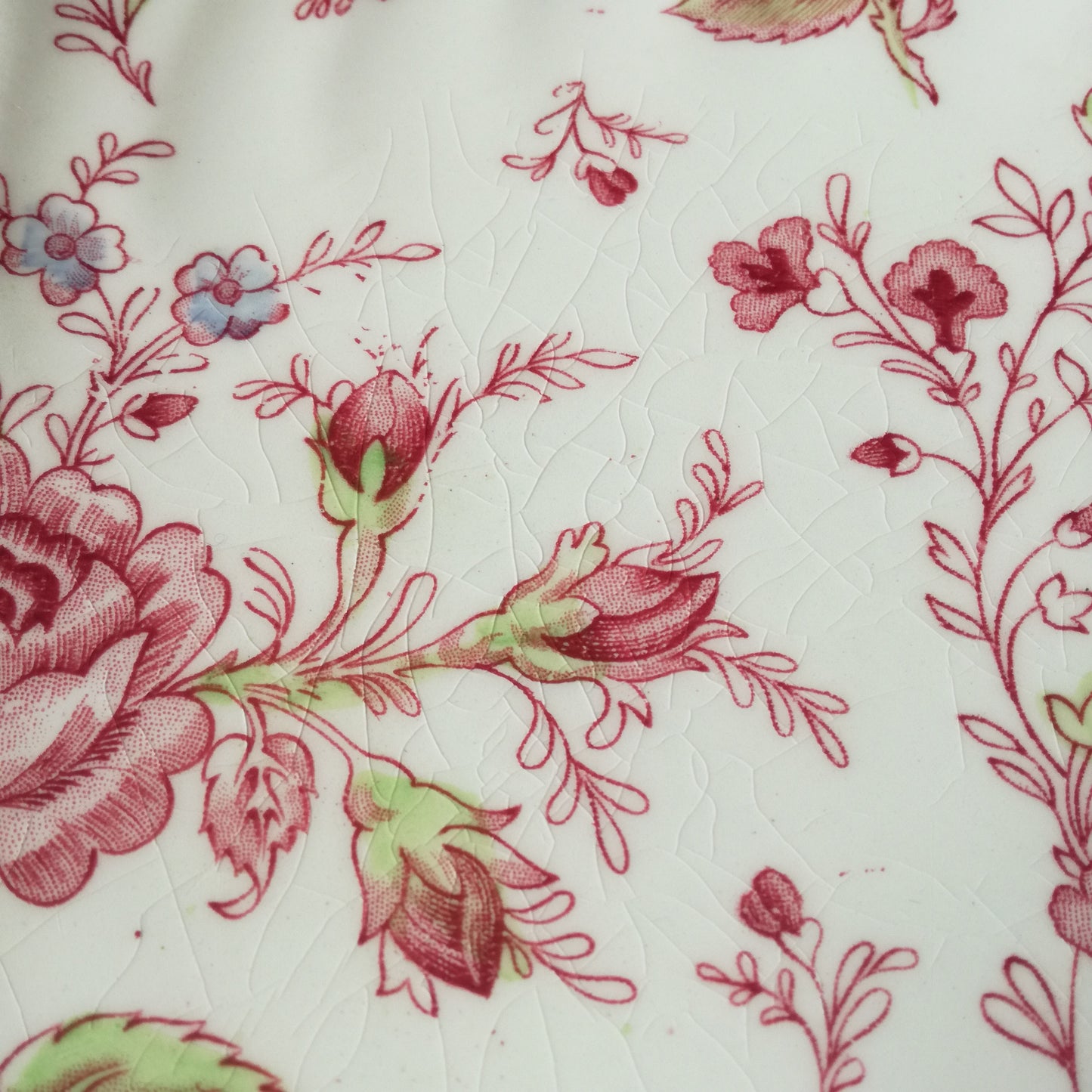 Plat Rose Chintz Johnson Brothers (GB)