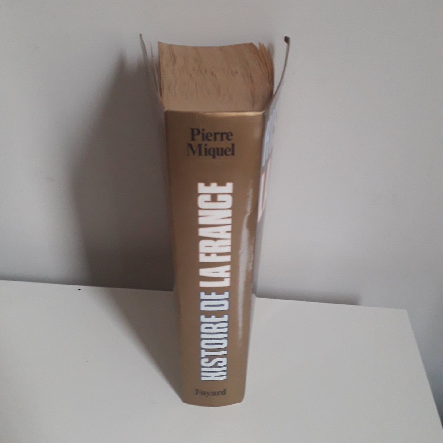Livre Histoire & Géographie Fayard