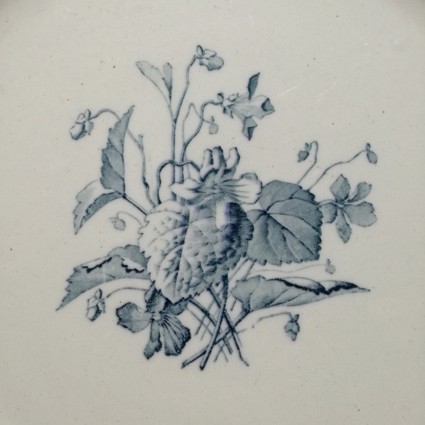 Plat Violettes Lunéville (K & G - Keller & Guérin)