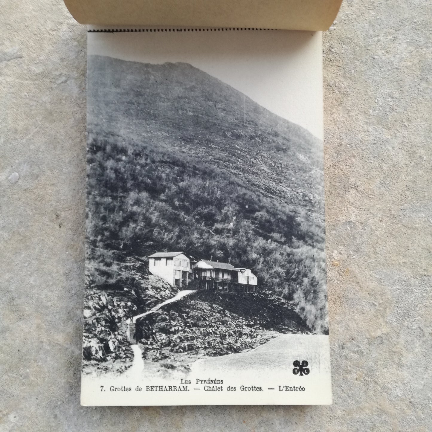 Carte postale / Vue Imp. François (Limoges)
