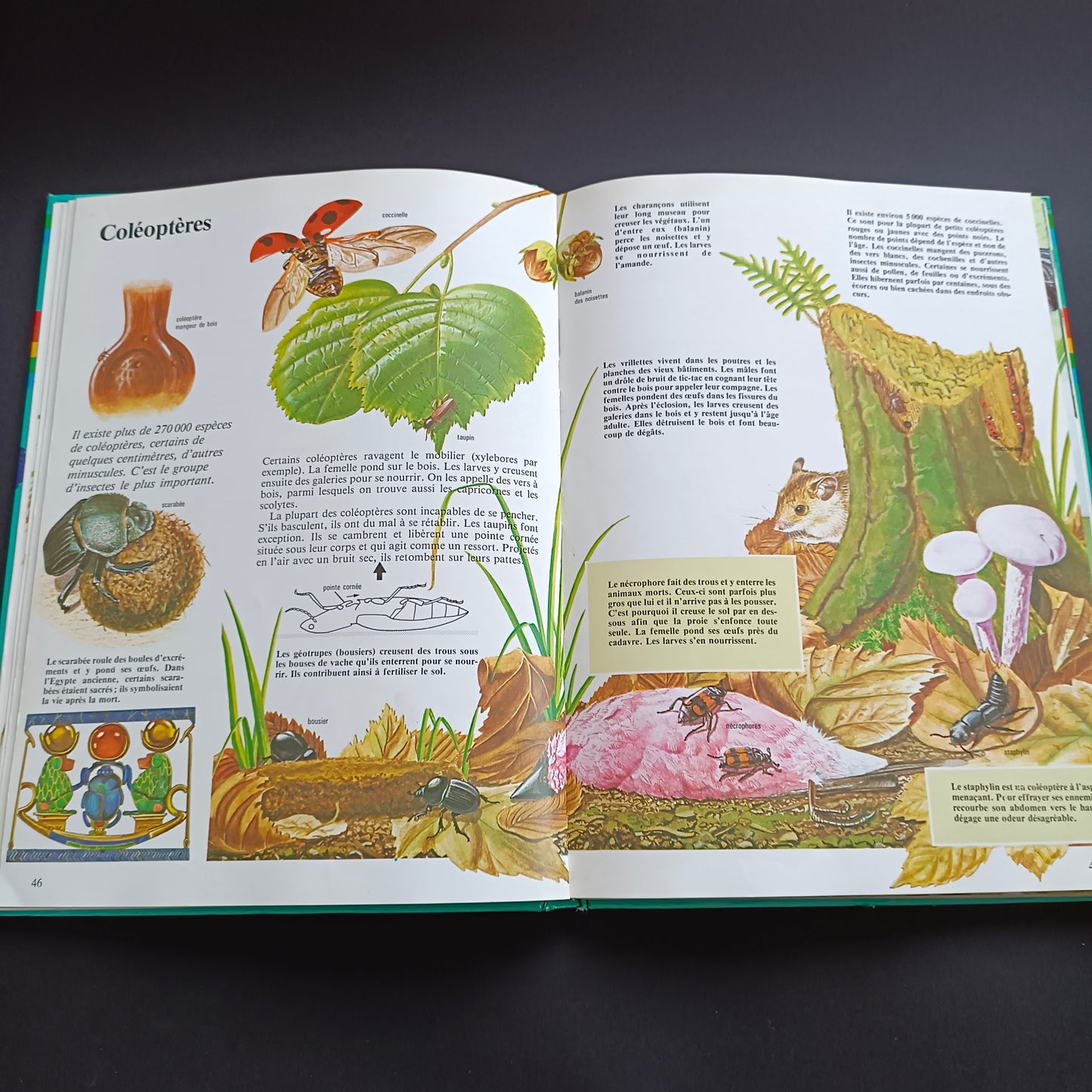 Livre scientifique Hachette