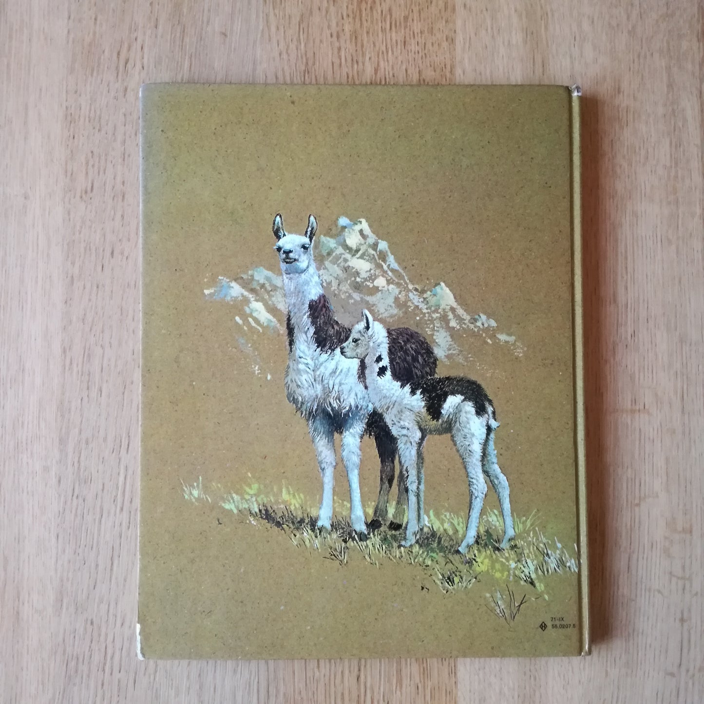 Livre jeunesse Bébés animaux des 5 continents Odège