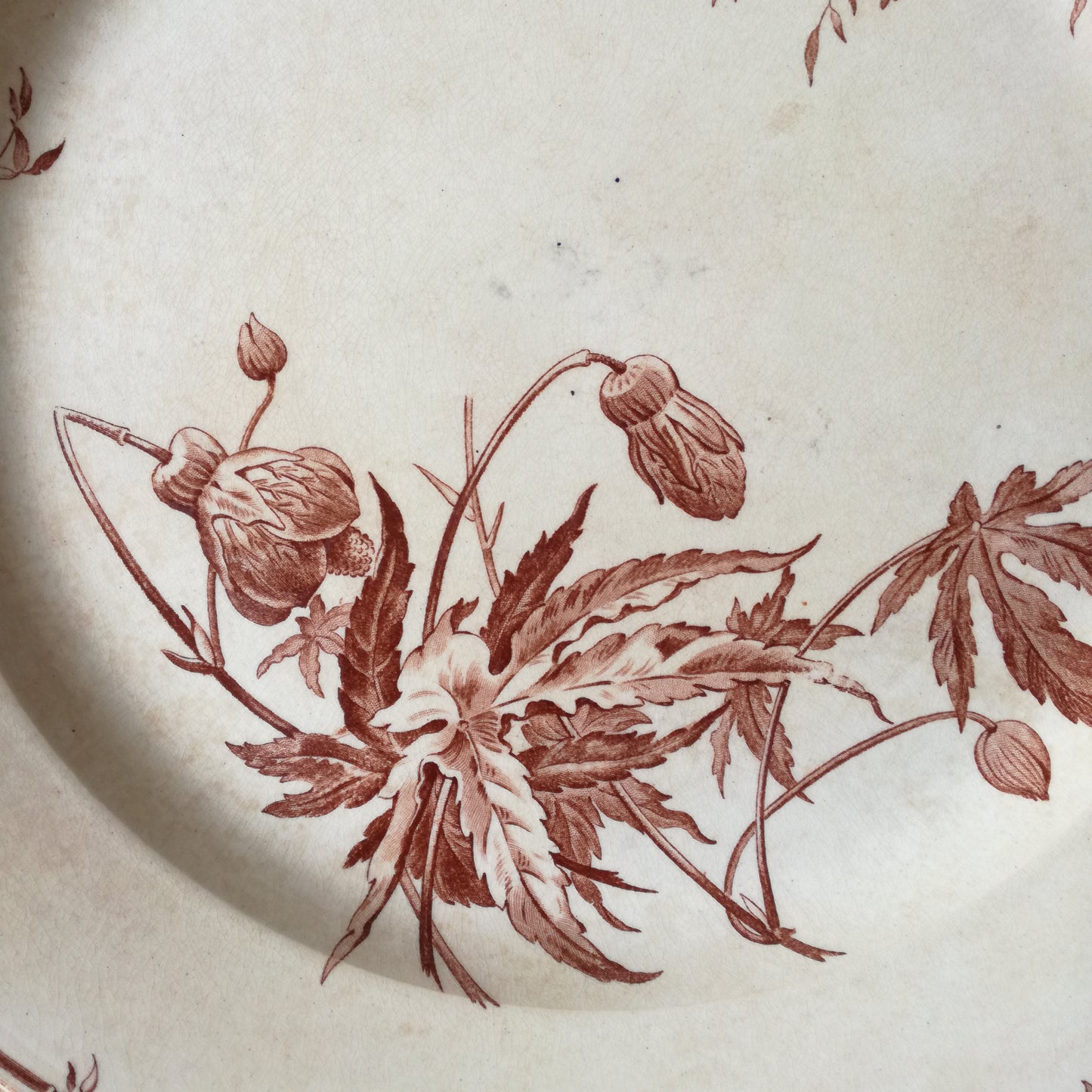 Plat Oiseaux-Mouches Gien