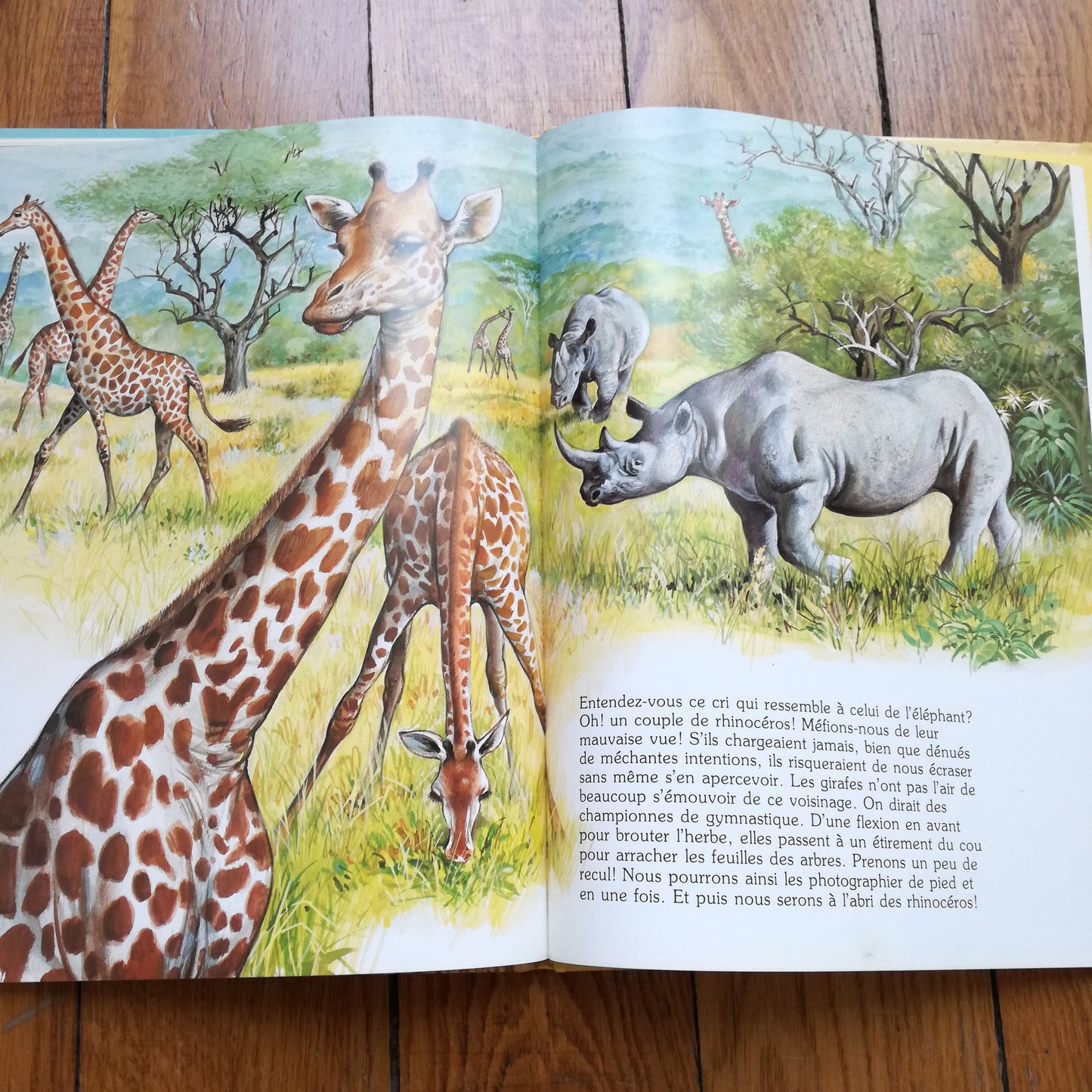 Livre jeunesse La ronde des animaux Hemma