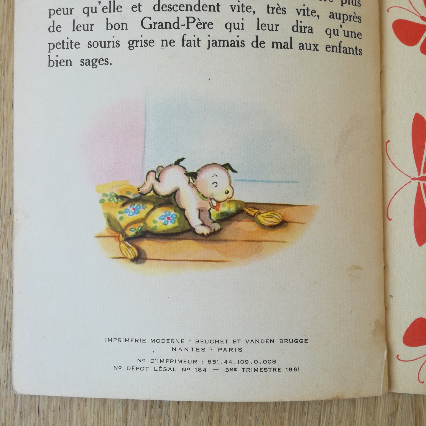 Livre jeunesse Papillon Beuchet et Vanden Brugge