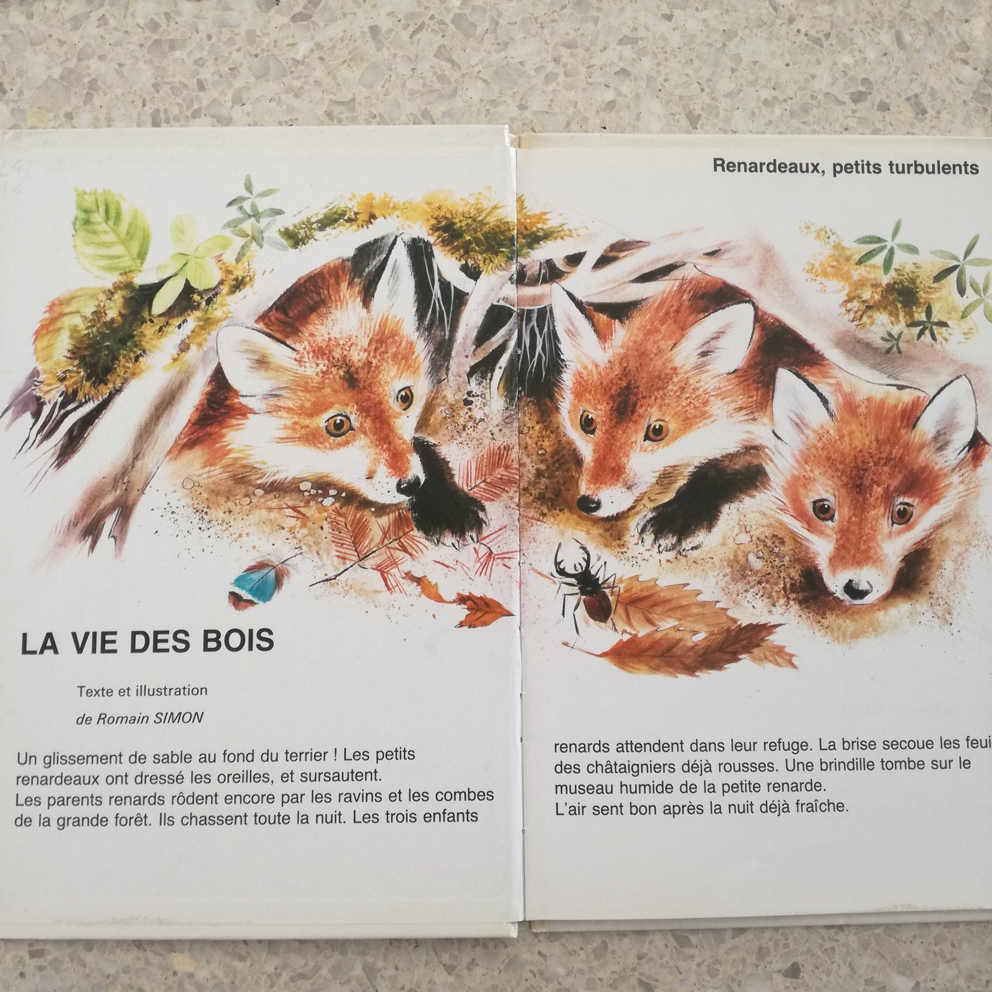 Livre jeunesse Jeunes années Bias