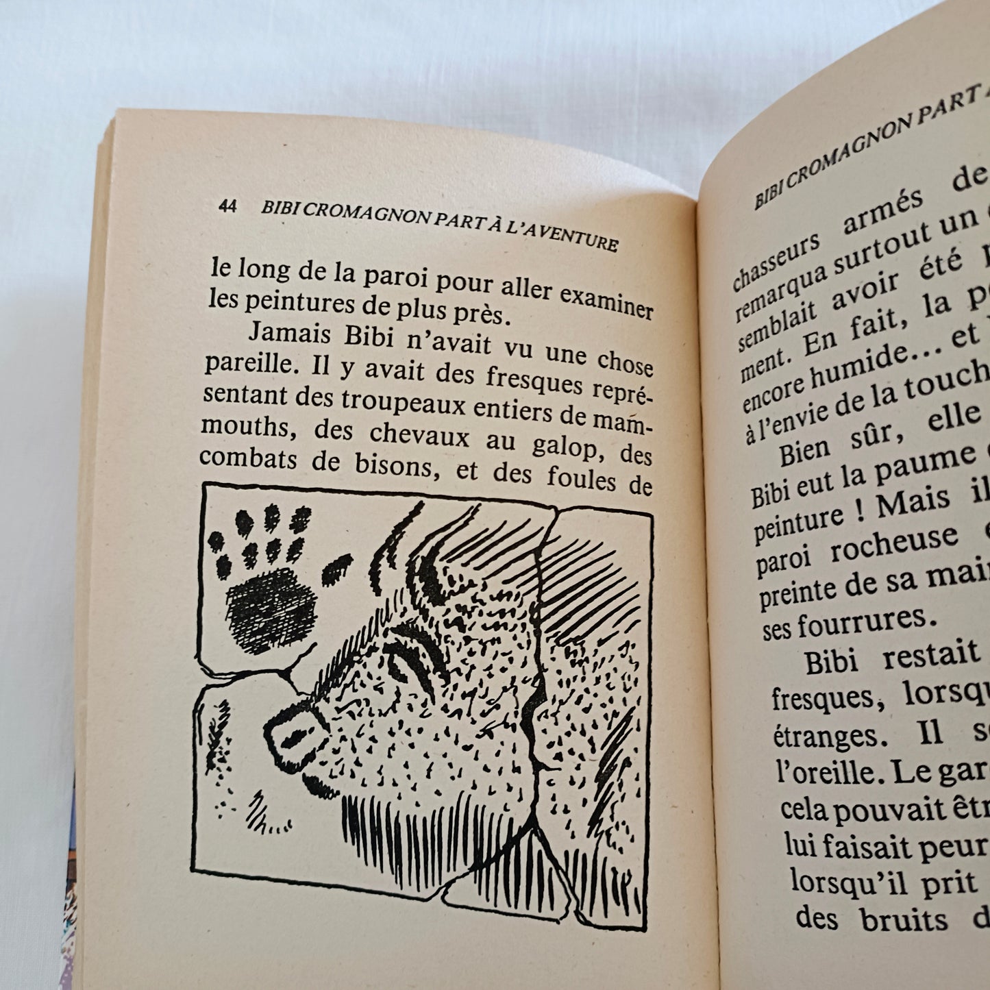 Livre jeunesse Bibliothèque Rose Hachette