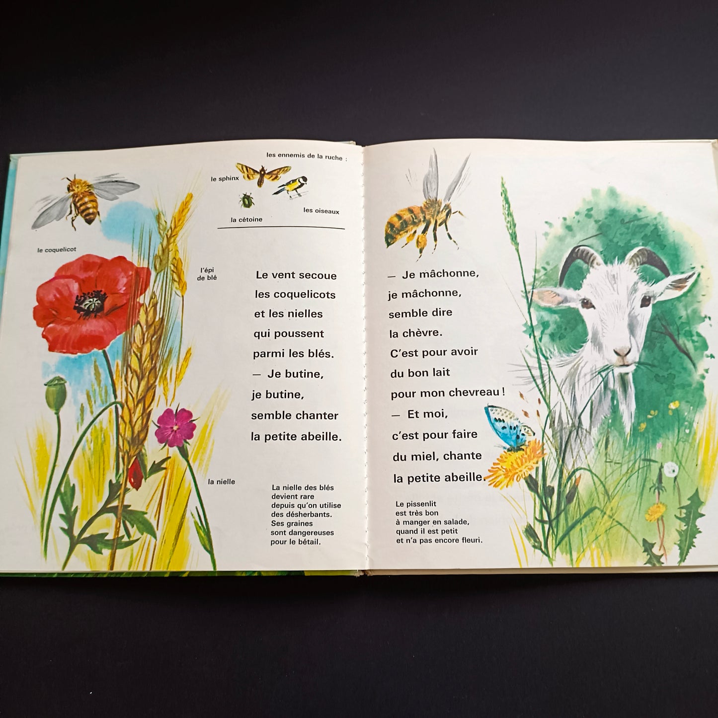 Livre jeunesse Un Album Coccinelle Fernand Nathan