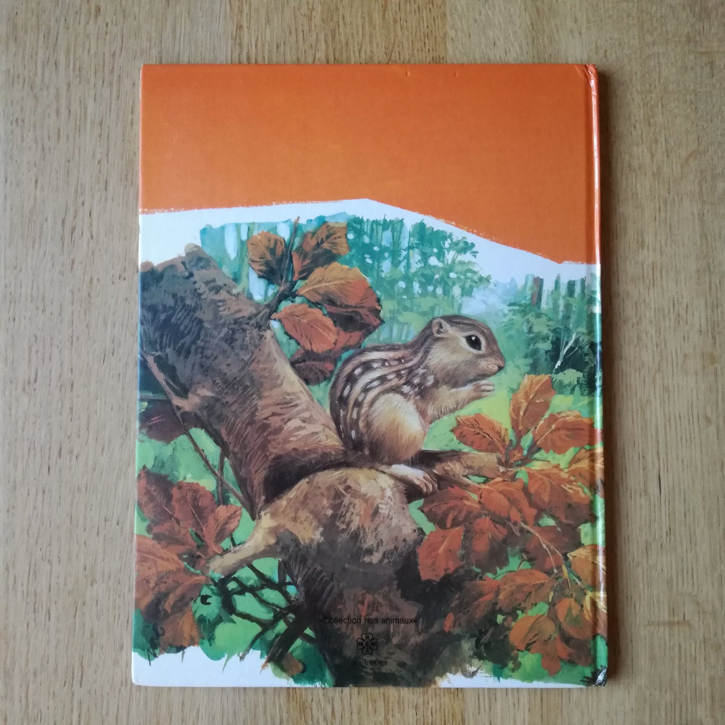 Livre jeunesse  Hemma