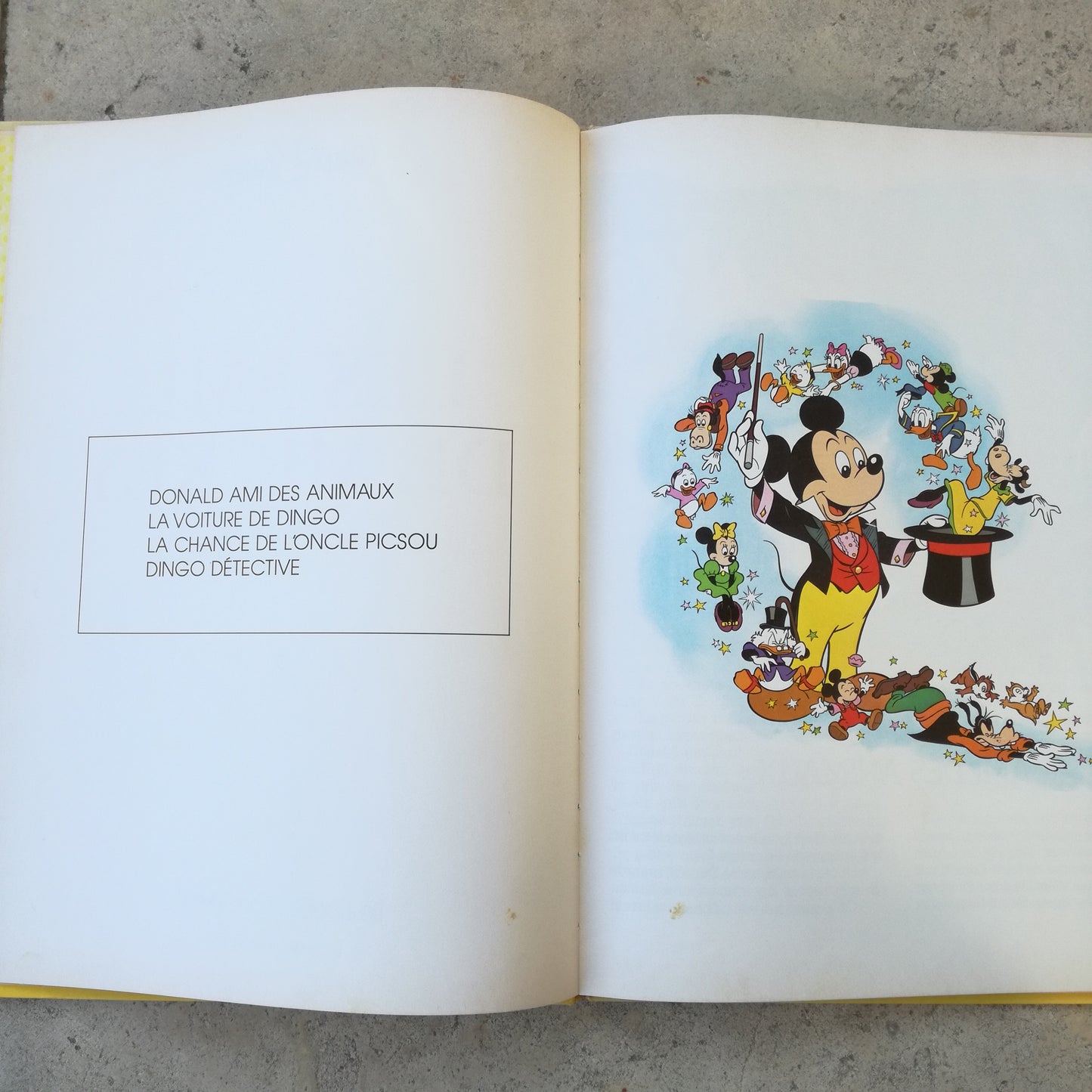 Livre jeunesse Le Jardin des Rêves Hachette