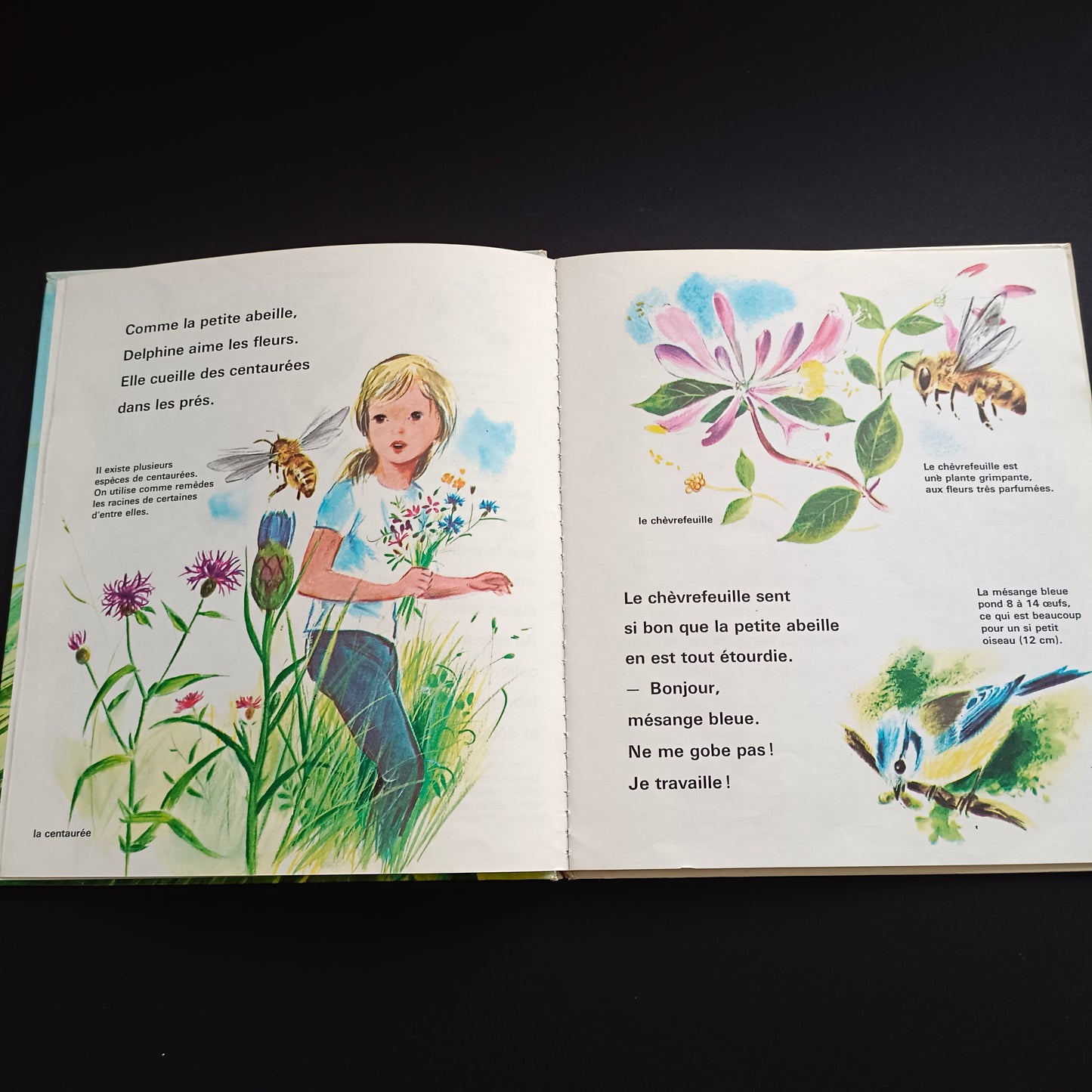 Livre jeunesse Un Album Coccinelle Fernand Nathan