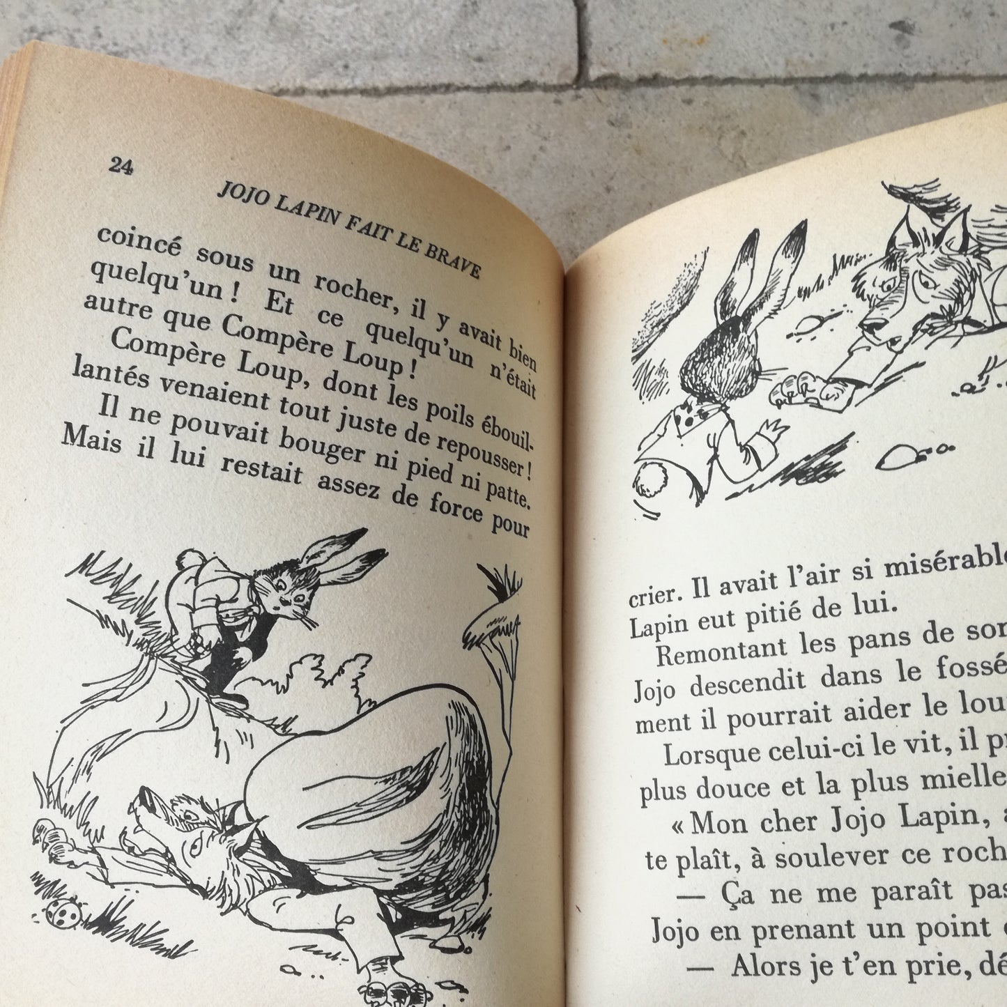 Livre jeunesse Jojo Lapin Hachette