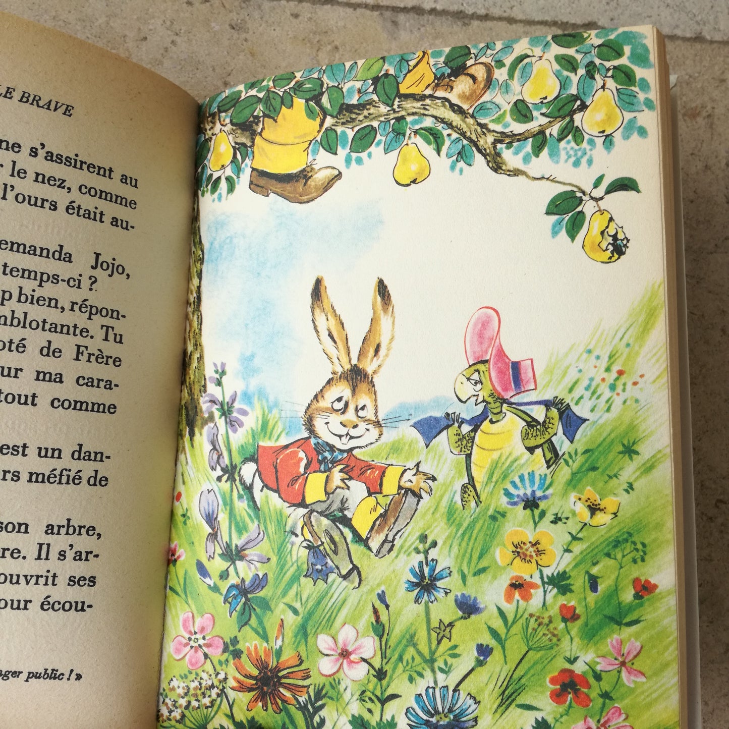 Livre jeunesse Jojo Lapin Hachette