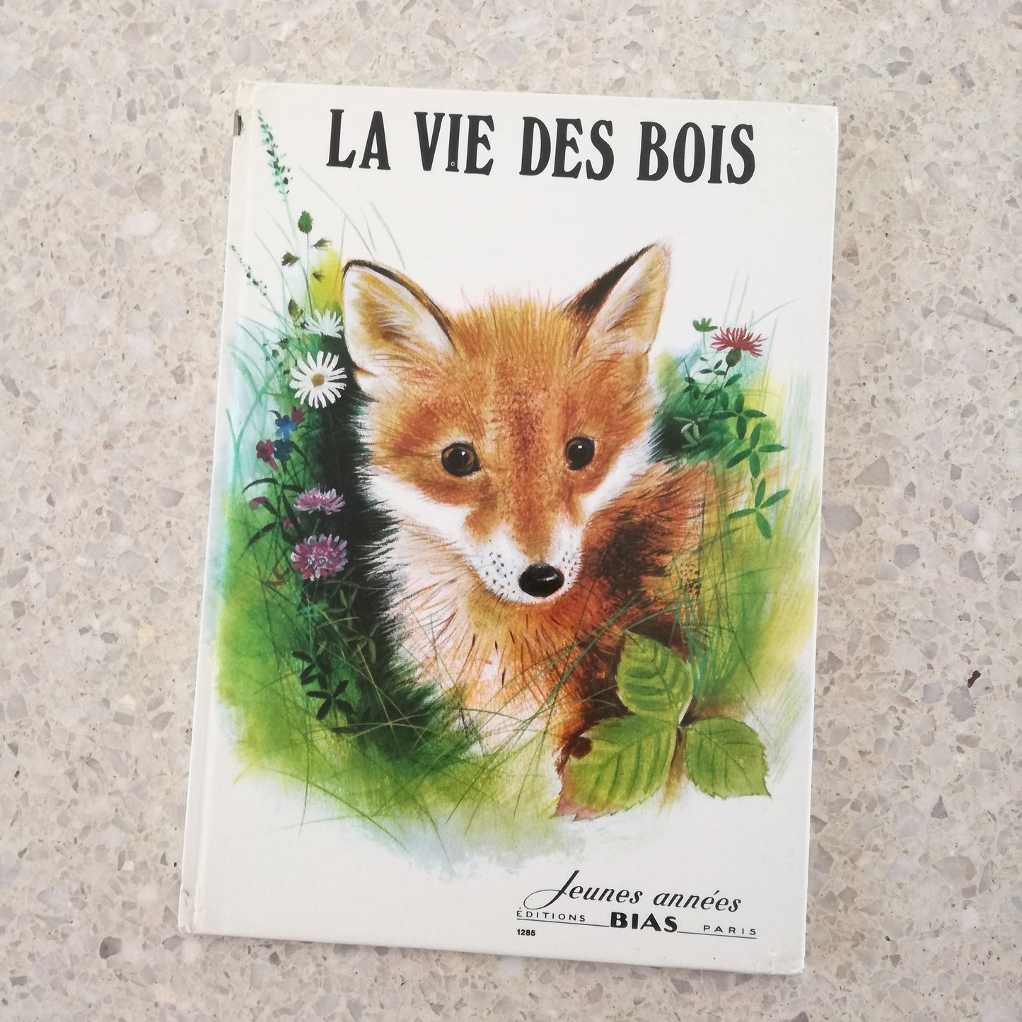 Livre jeunesse Jeunes années Bias