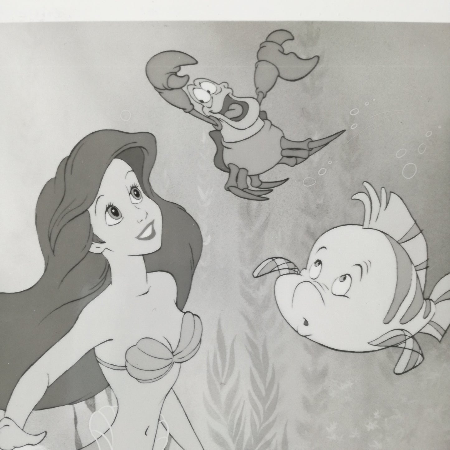 Photographie Walt Disney